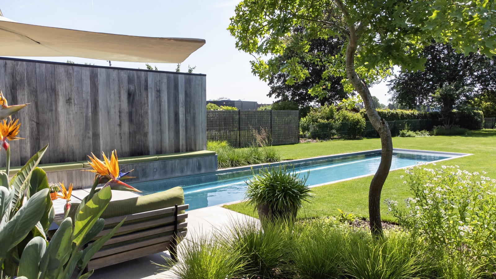 tuin met design zwembad