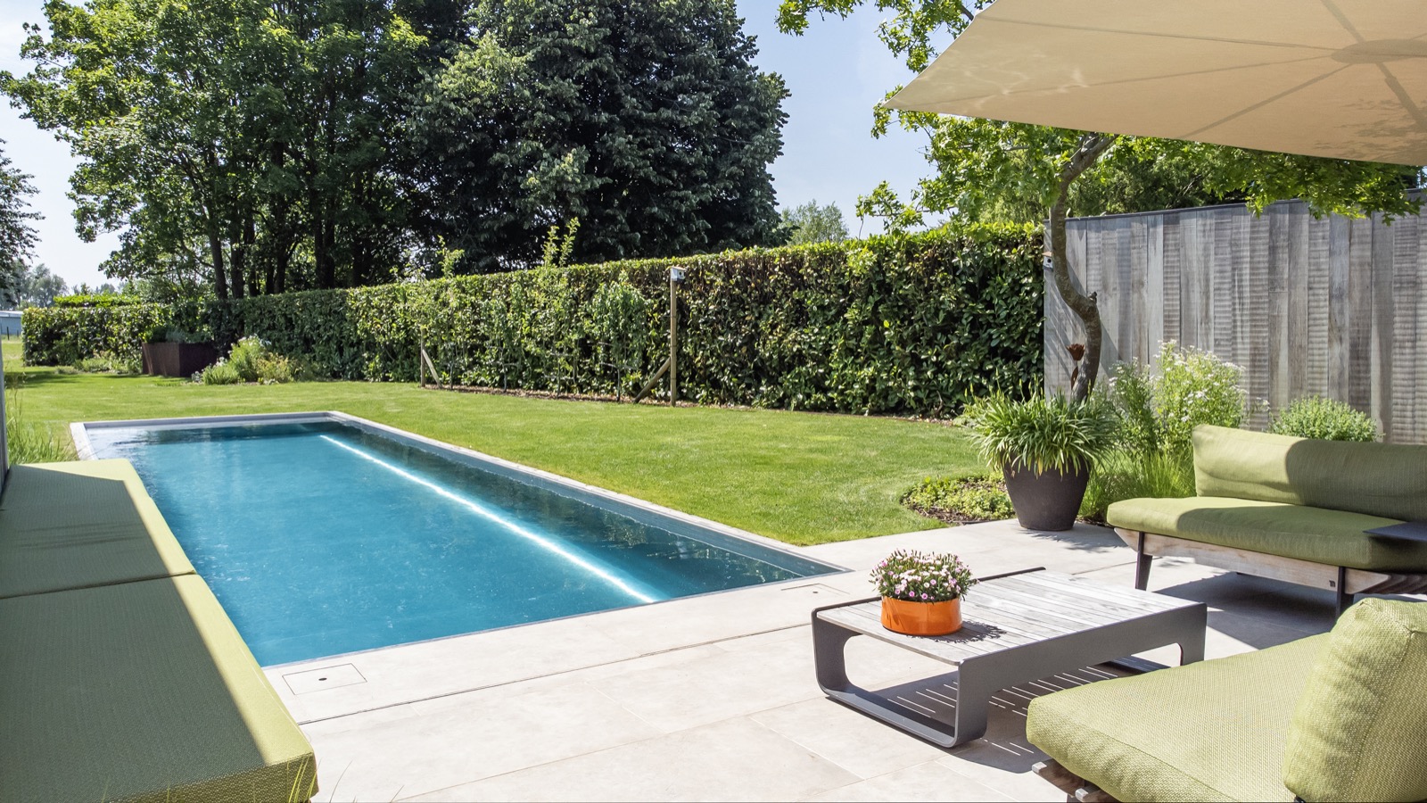 moderne tuin met zwembad