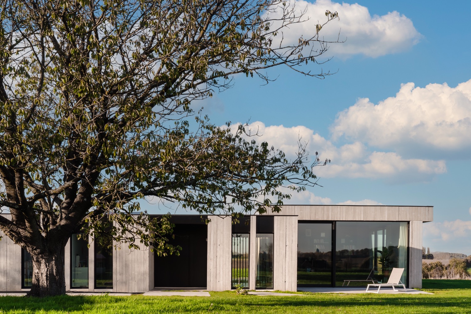 moderne villa met boom