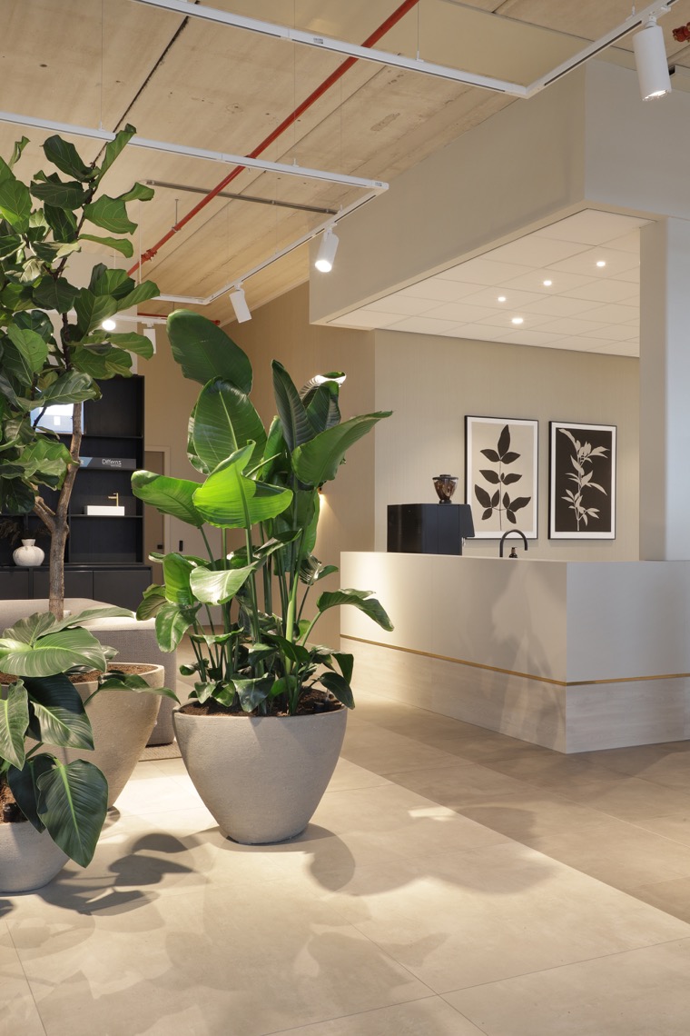 interieurbeplanting op kantoor