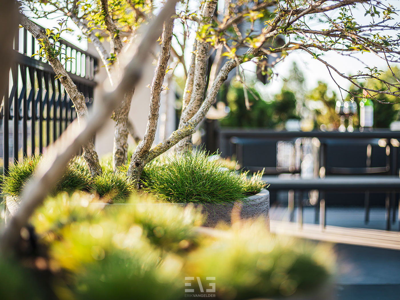 planten op dakterras