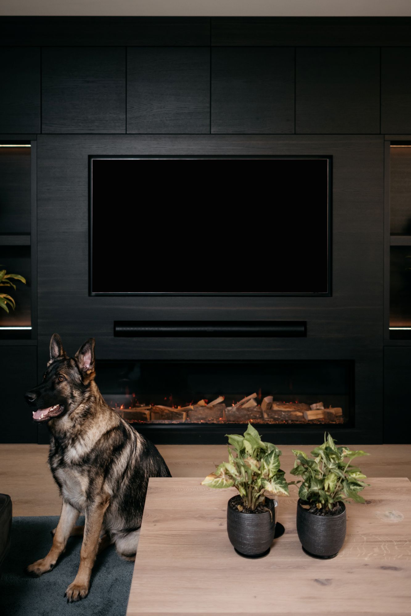tv kast