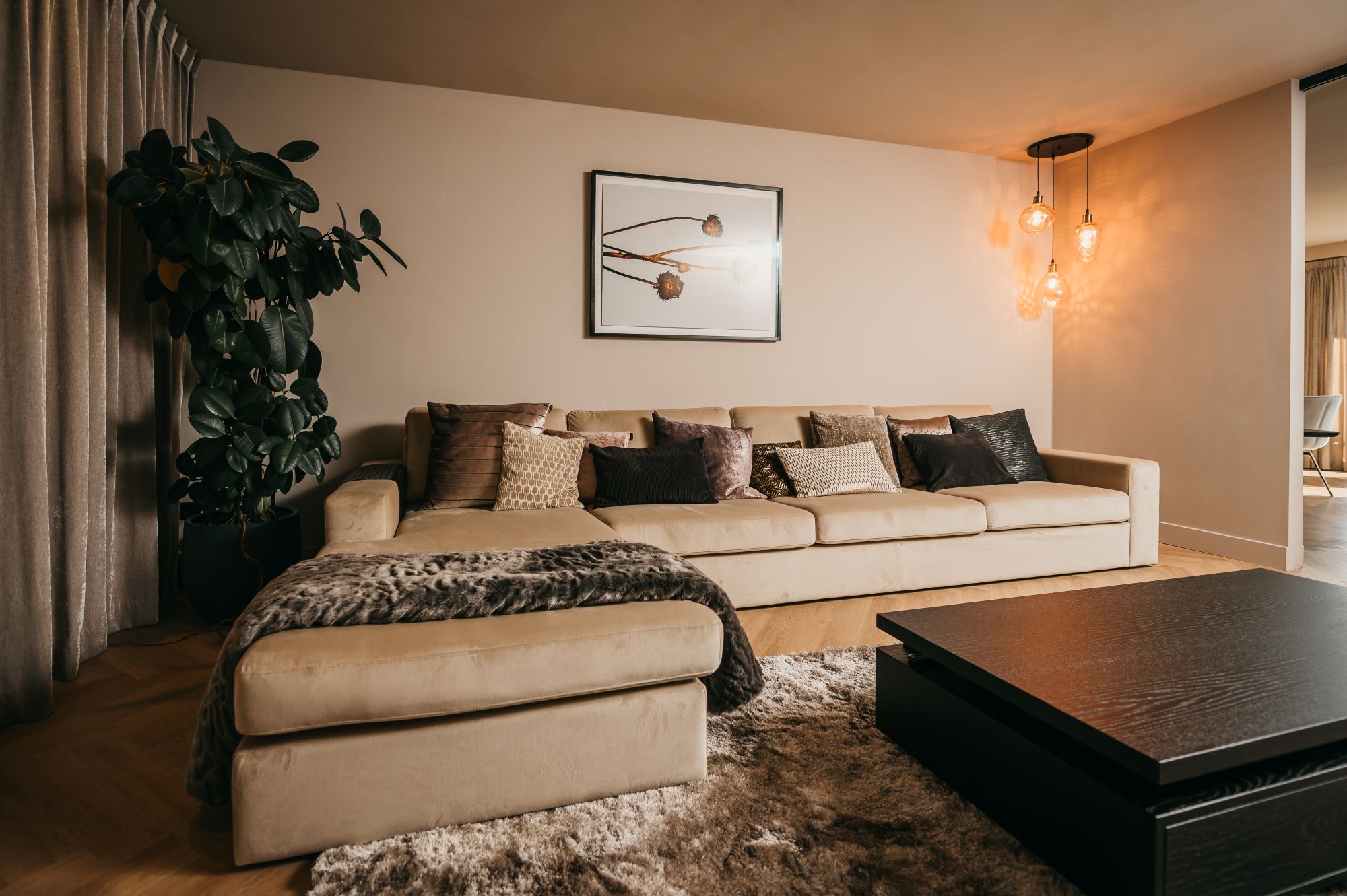 loungebank