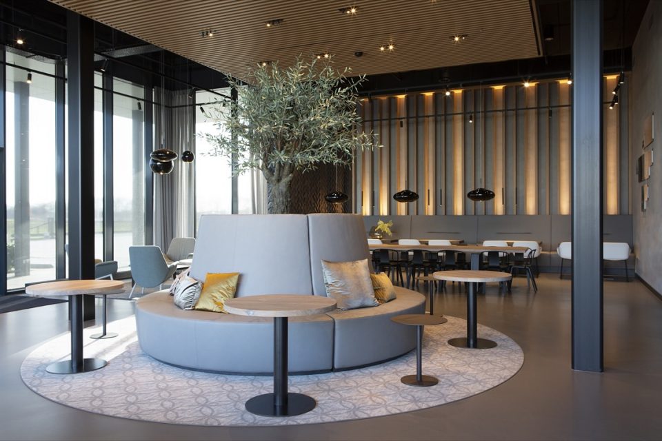 design meubels met boom kantoor