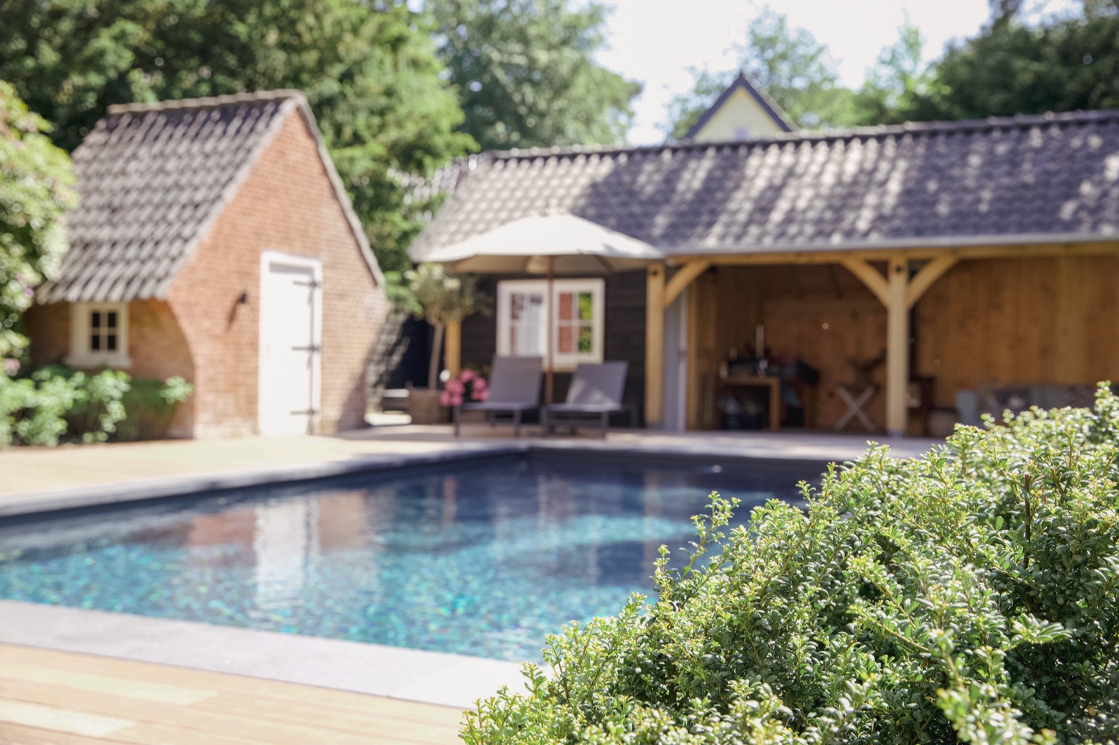 tuin met luxe beplanting