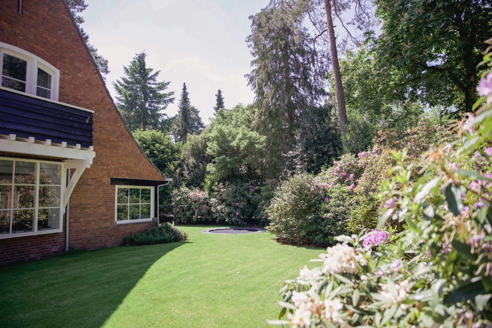 groene tuin met beplanting