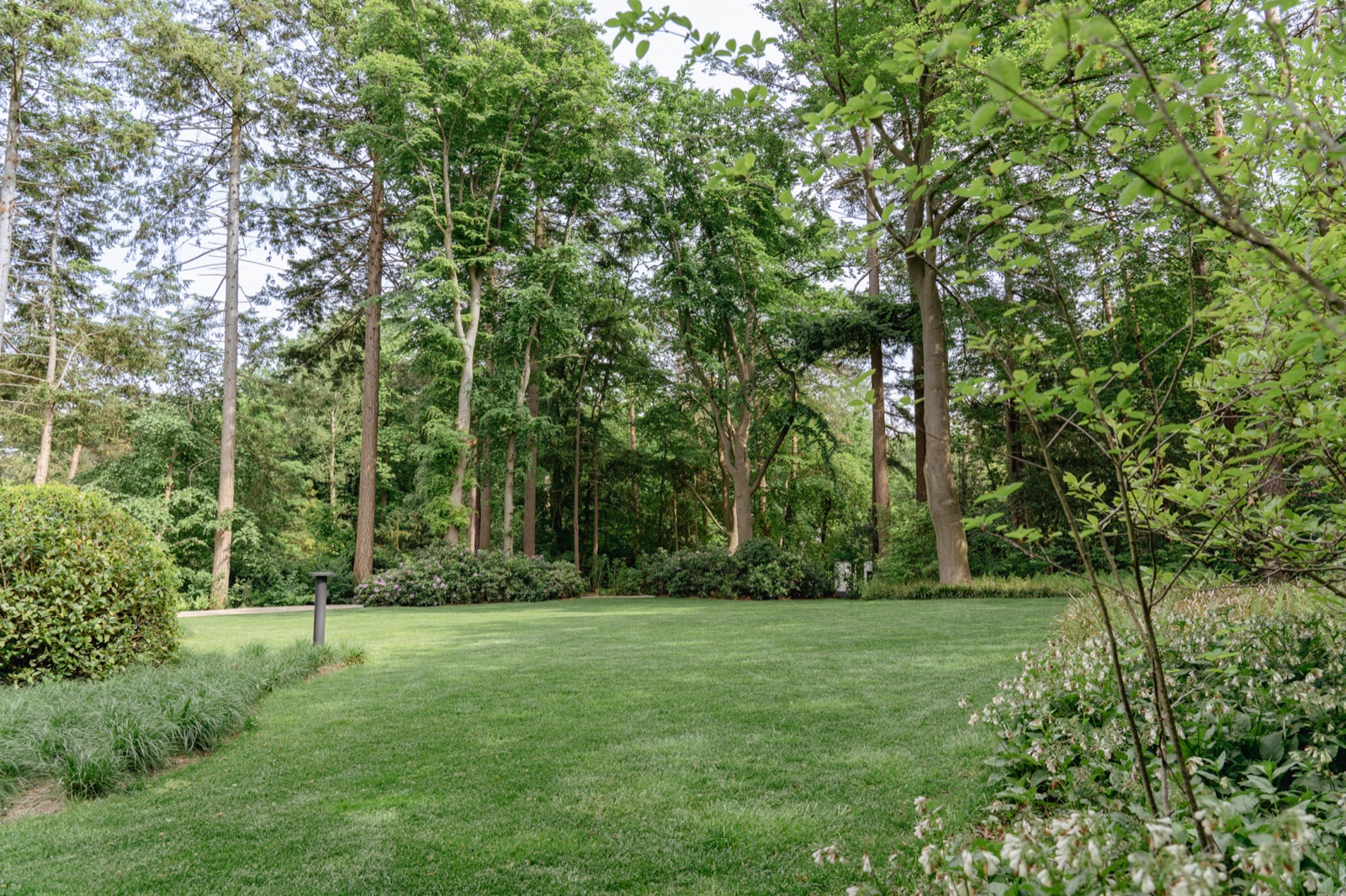 groene tuin met beplanting