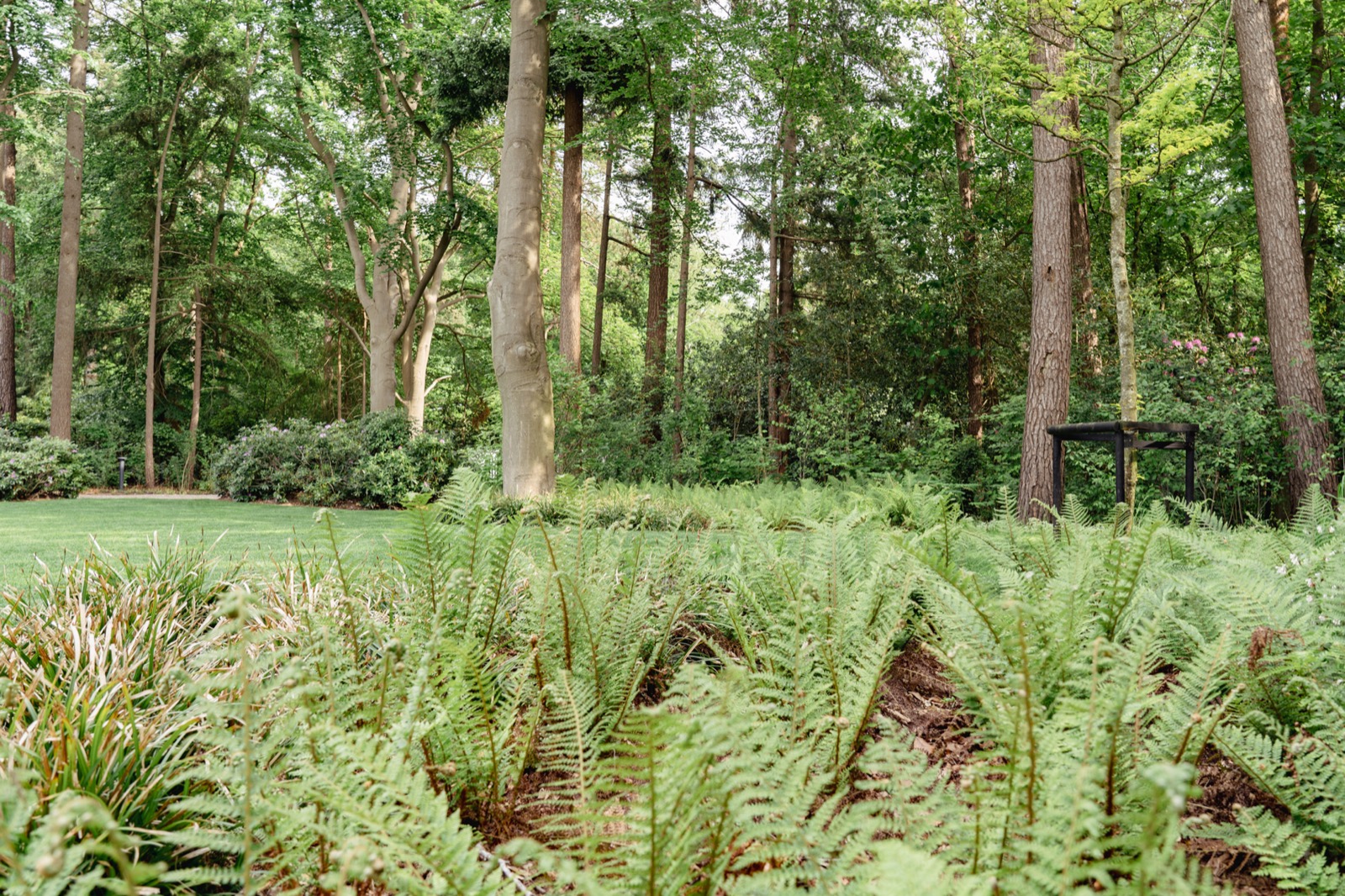 landelijke tuin ontwerp