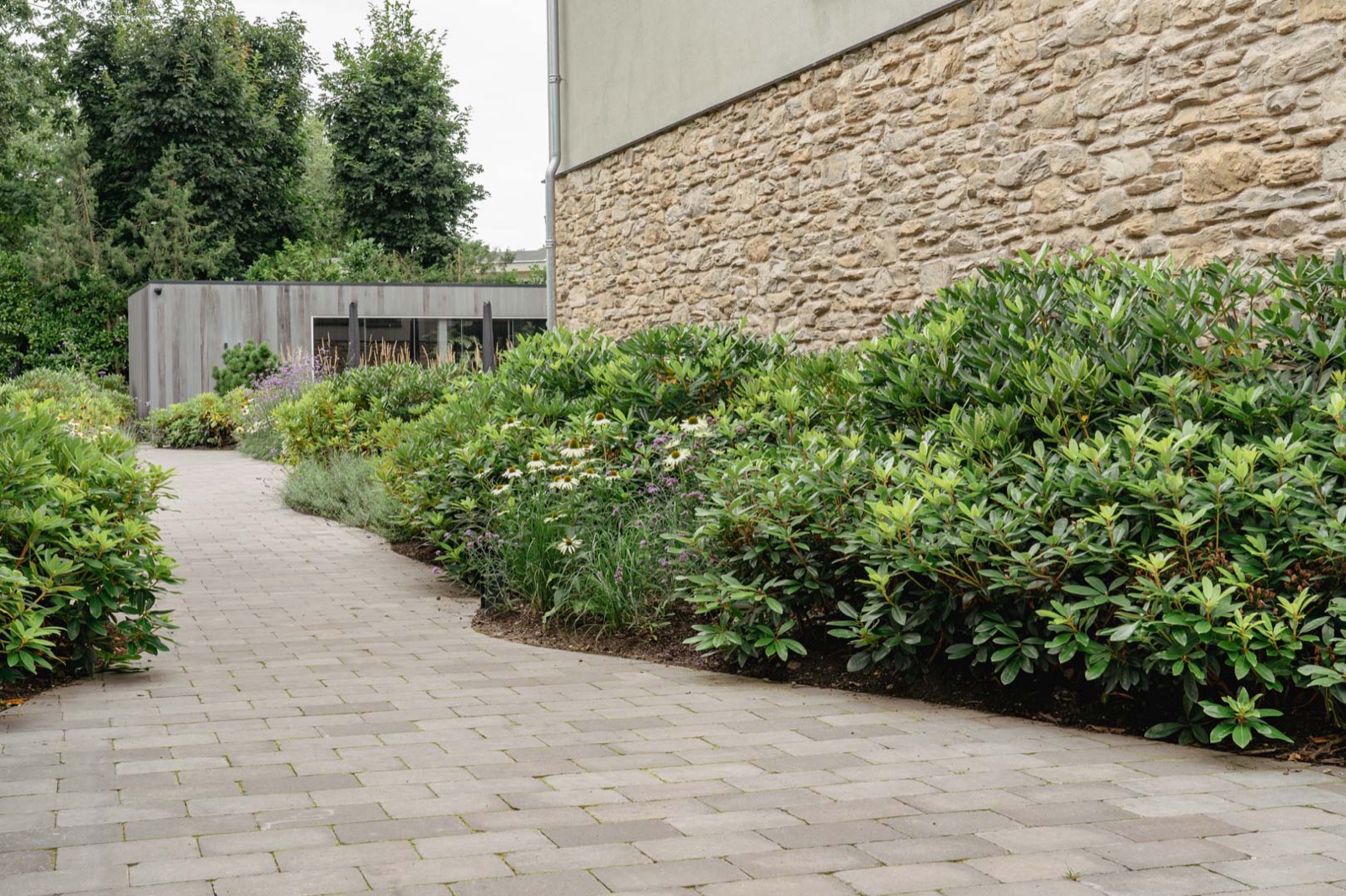 tuin met pad met groene borders