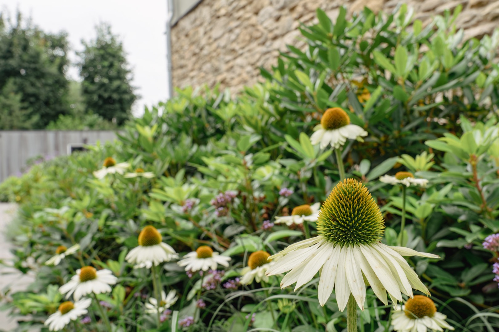 beplanting met bloemen