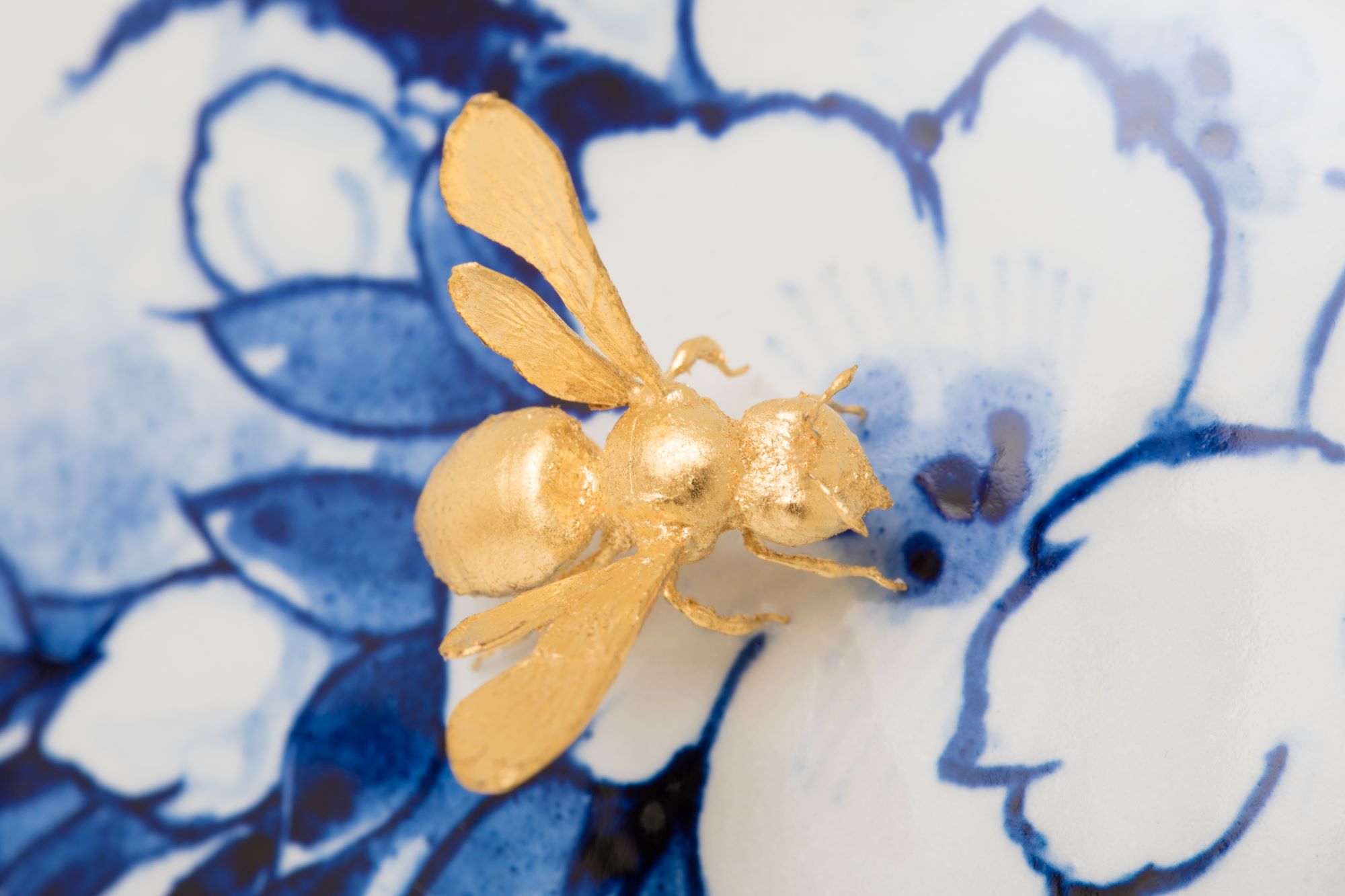 insect op appel