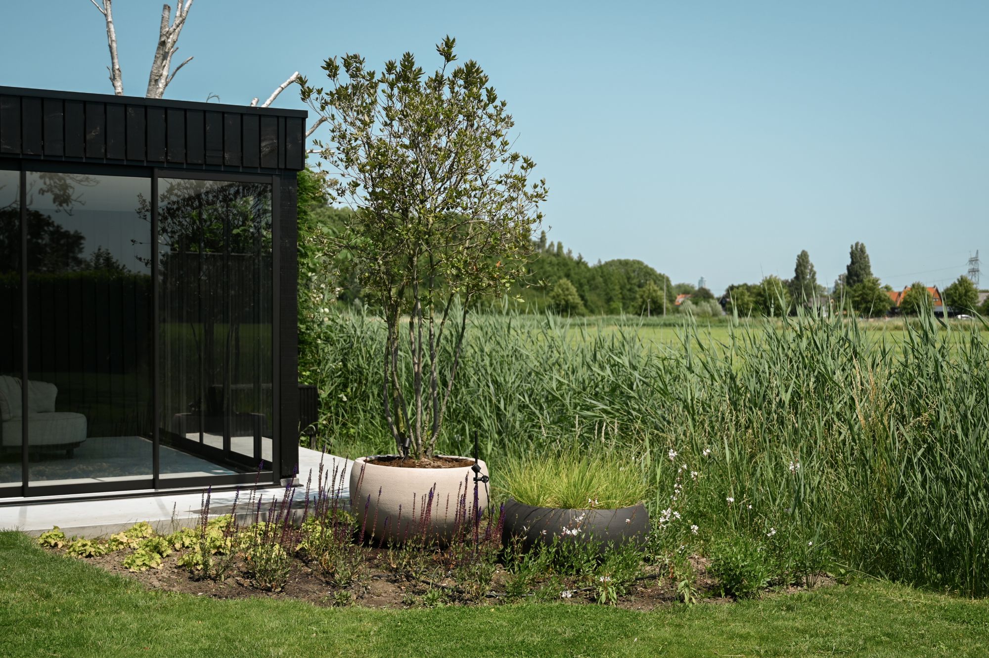groene tuin
