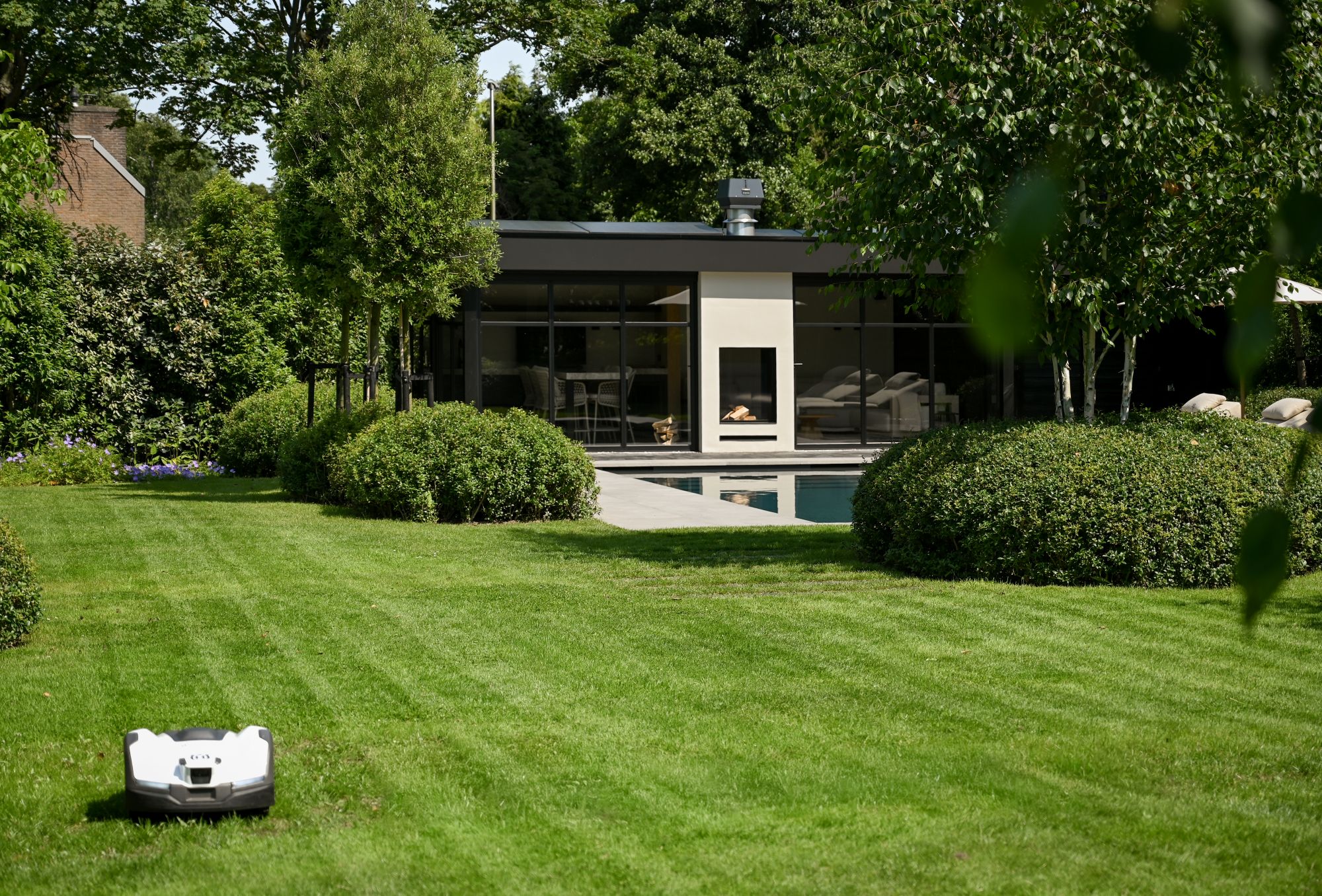 groene tuin