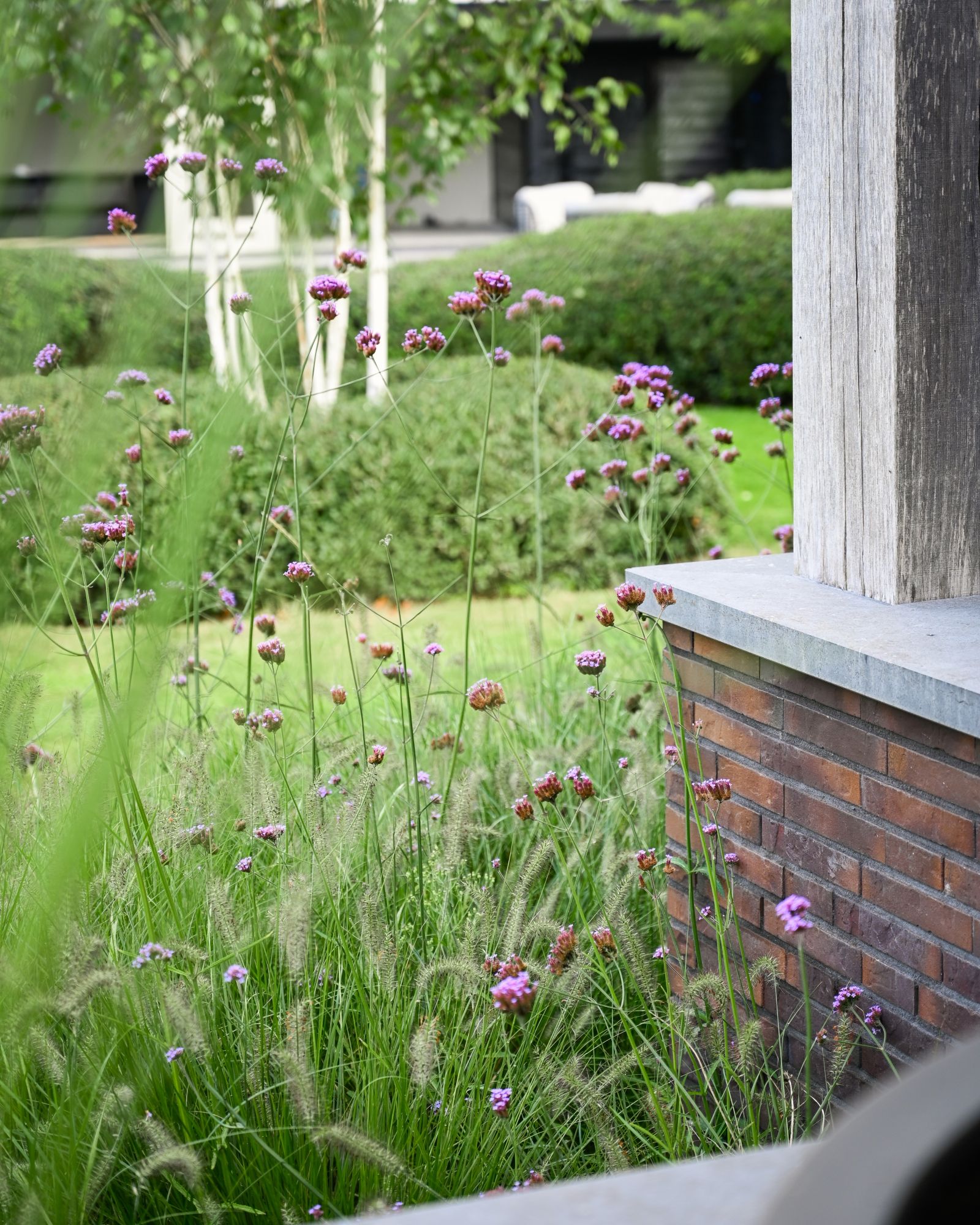tuinbeplanting