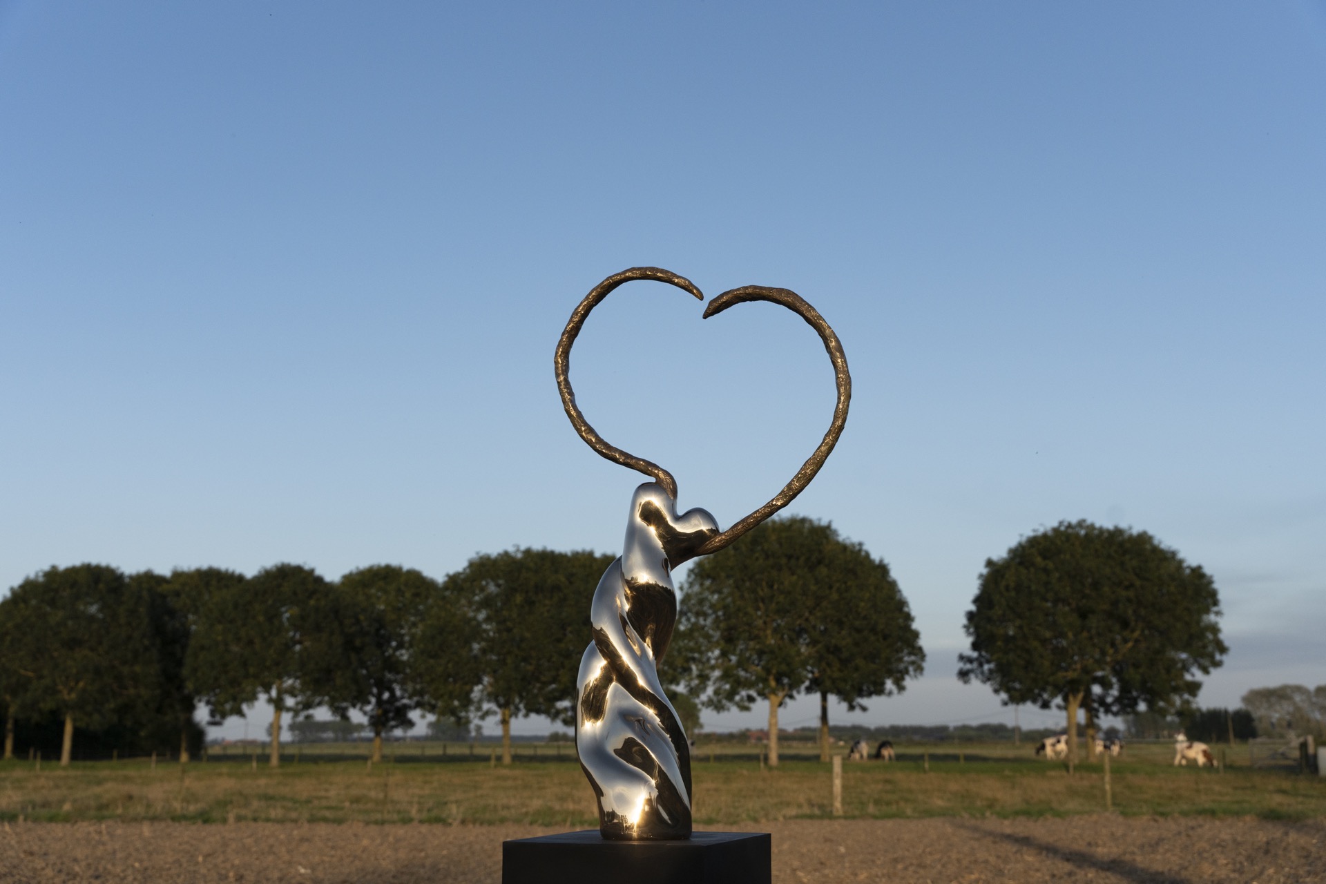 exclusief design beeld