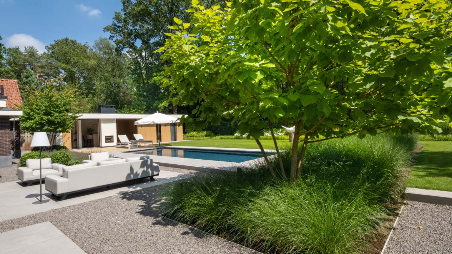 moderne tuin