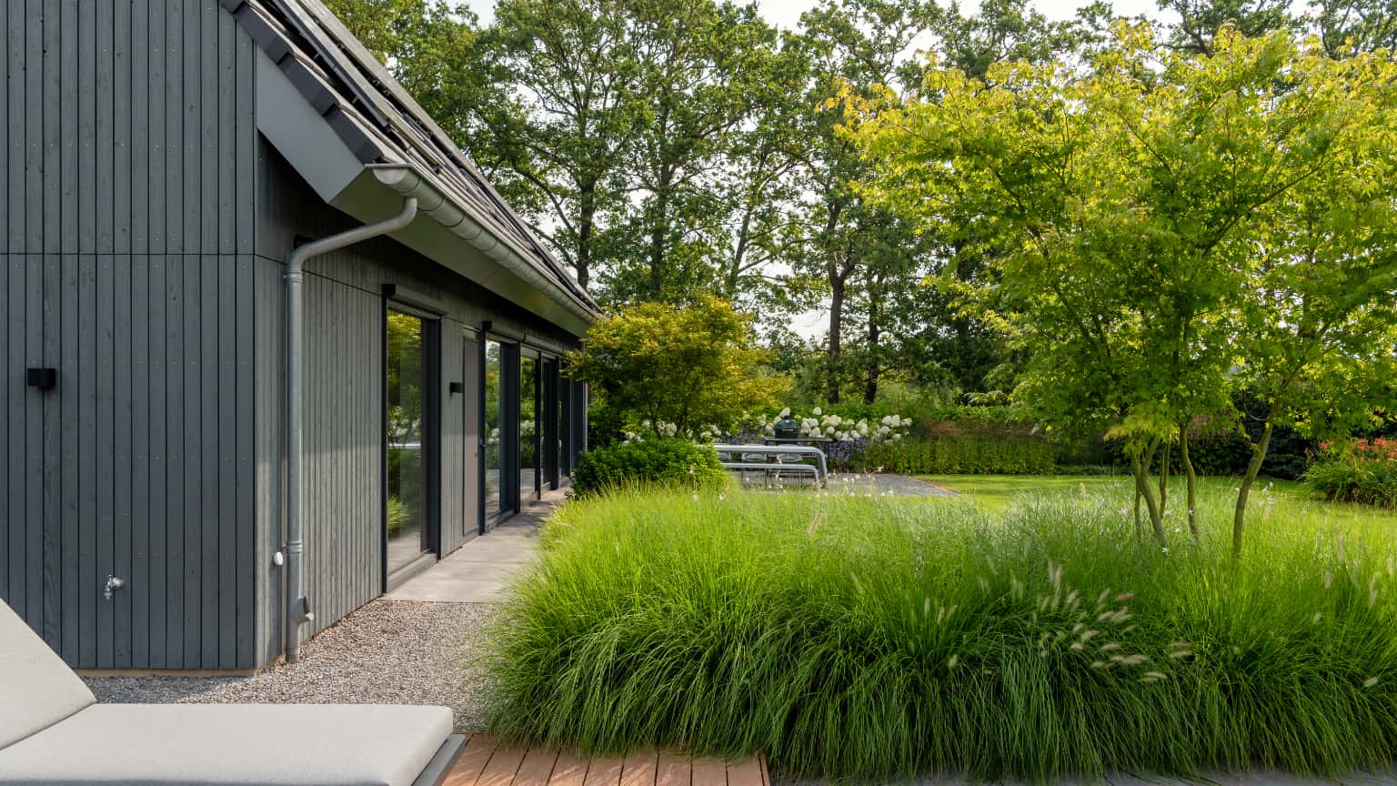 siergrassen in tuin