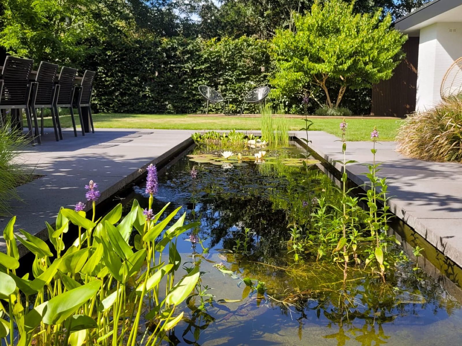 moderne tuin met terras en vijver
