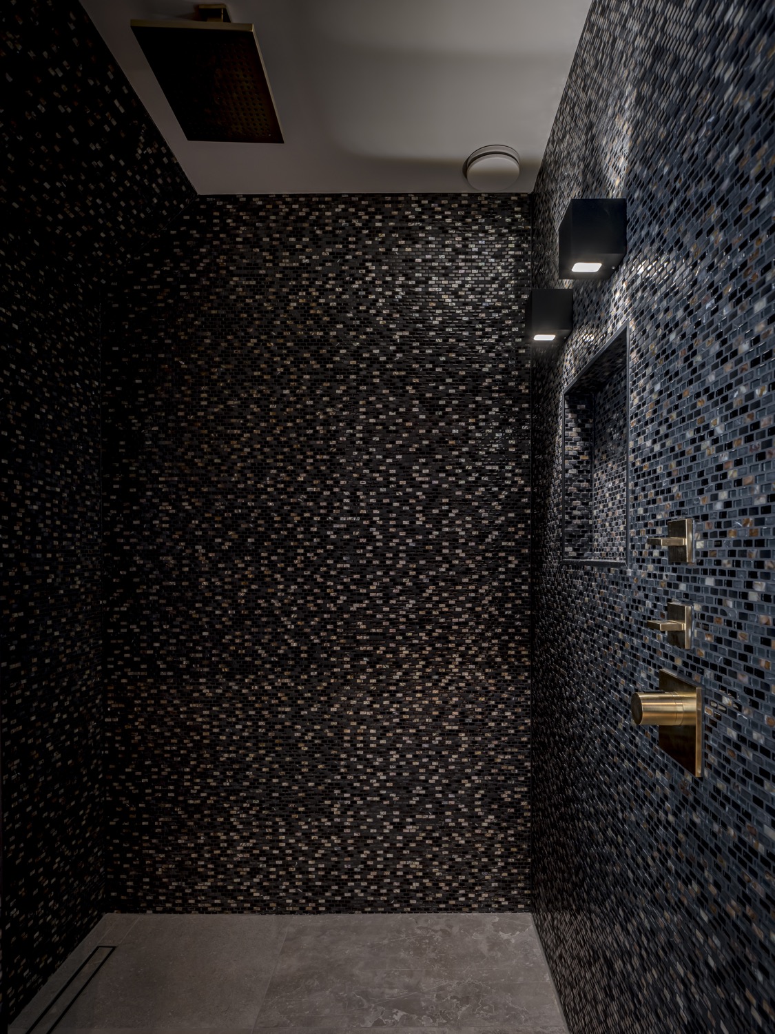 luxe toilet