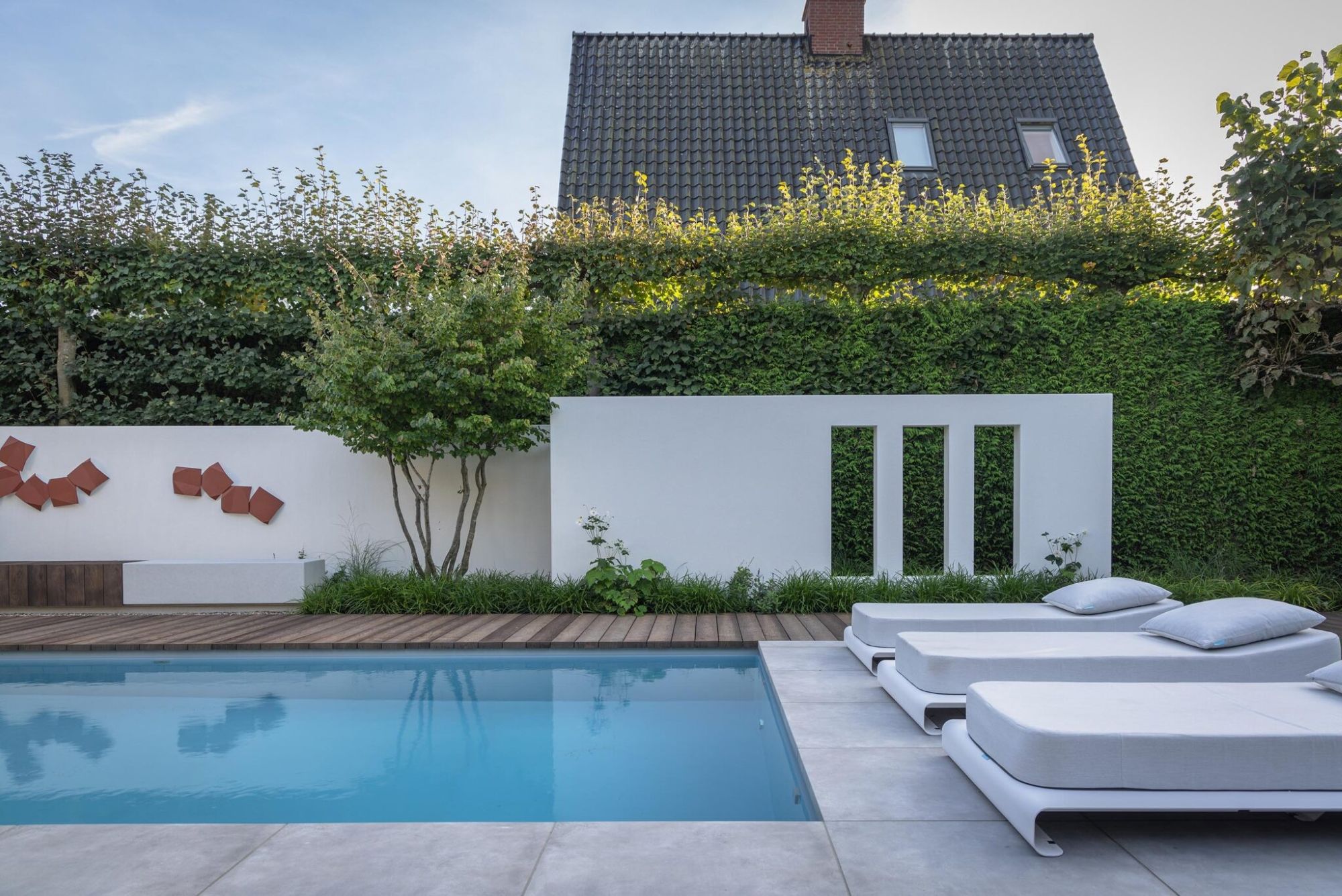 tuin met zwembad
