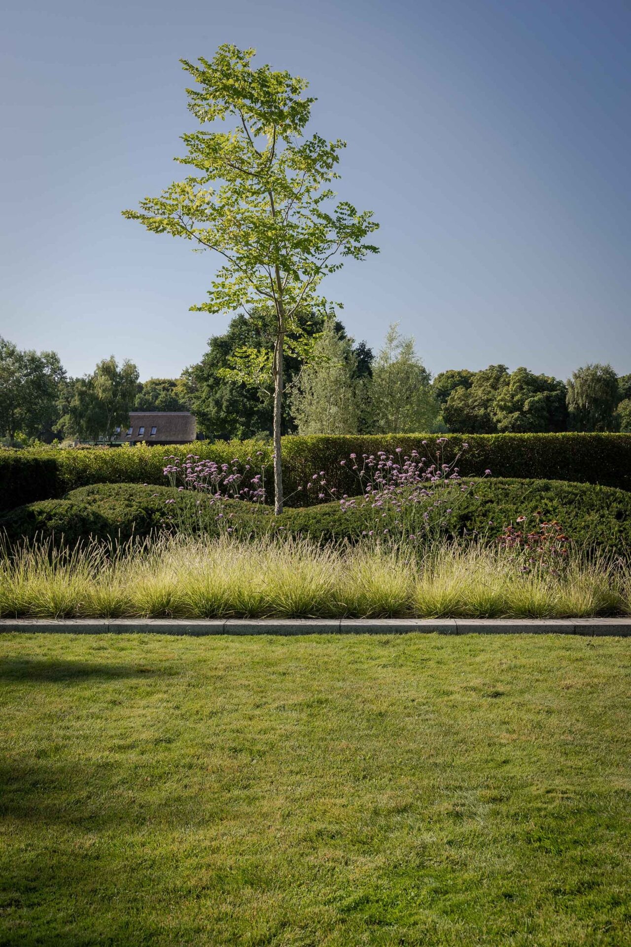 landelijke tuin