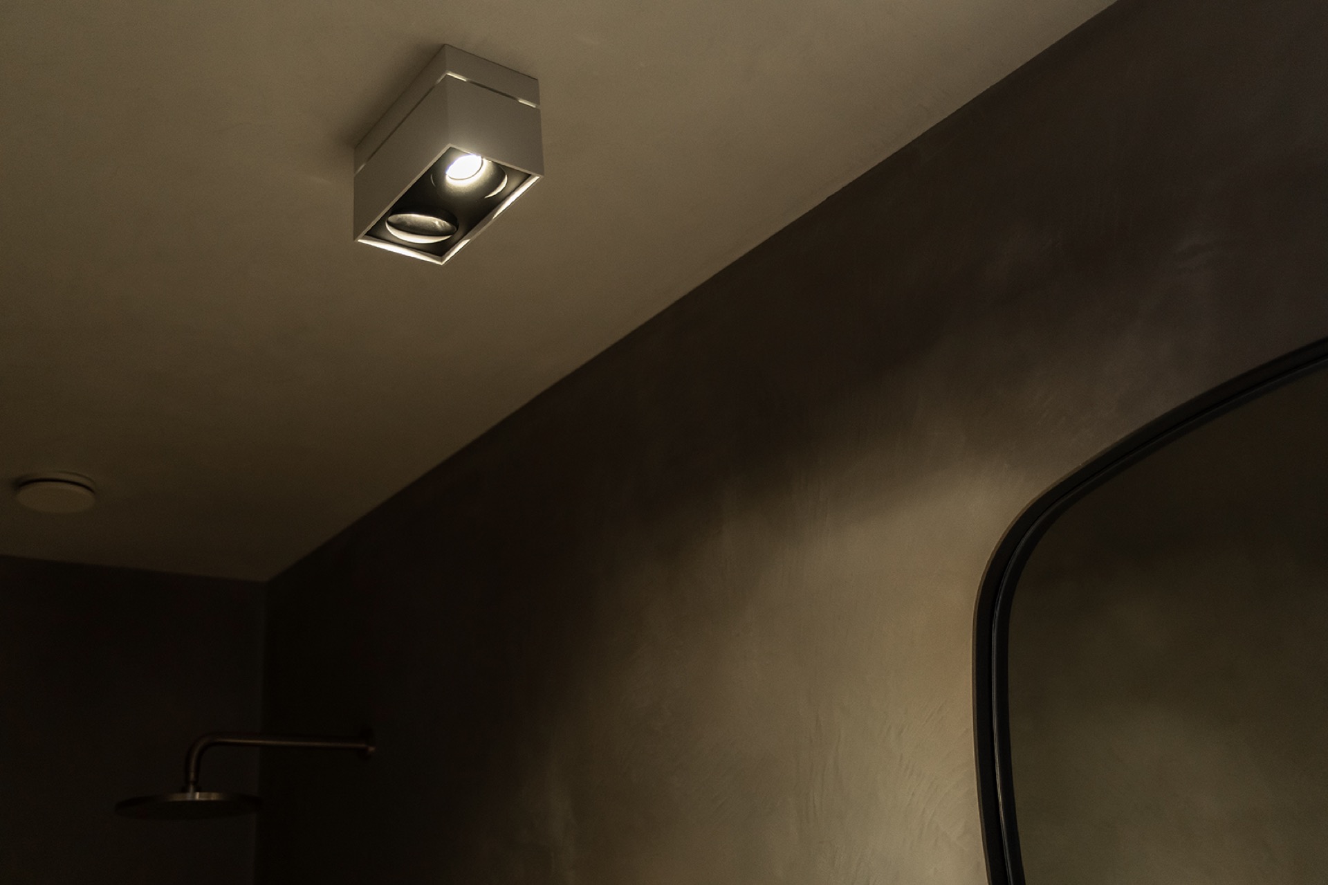 luxe plafond verlichting