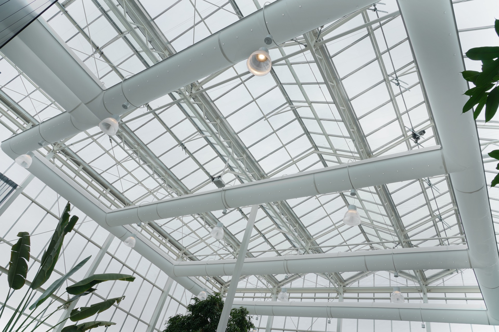 plafond met luxe lampen
