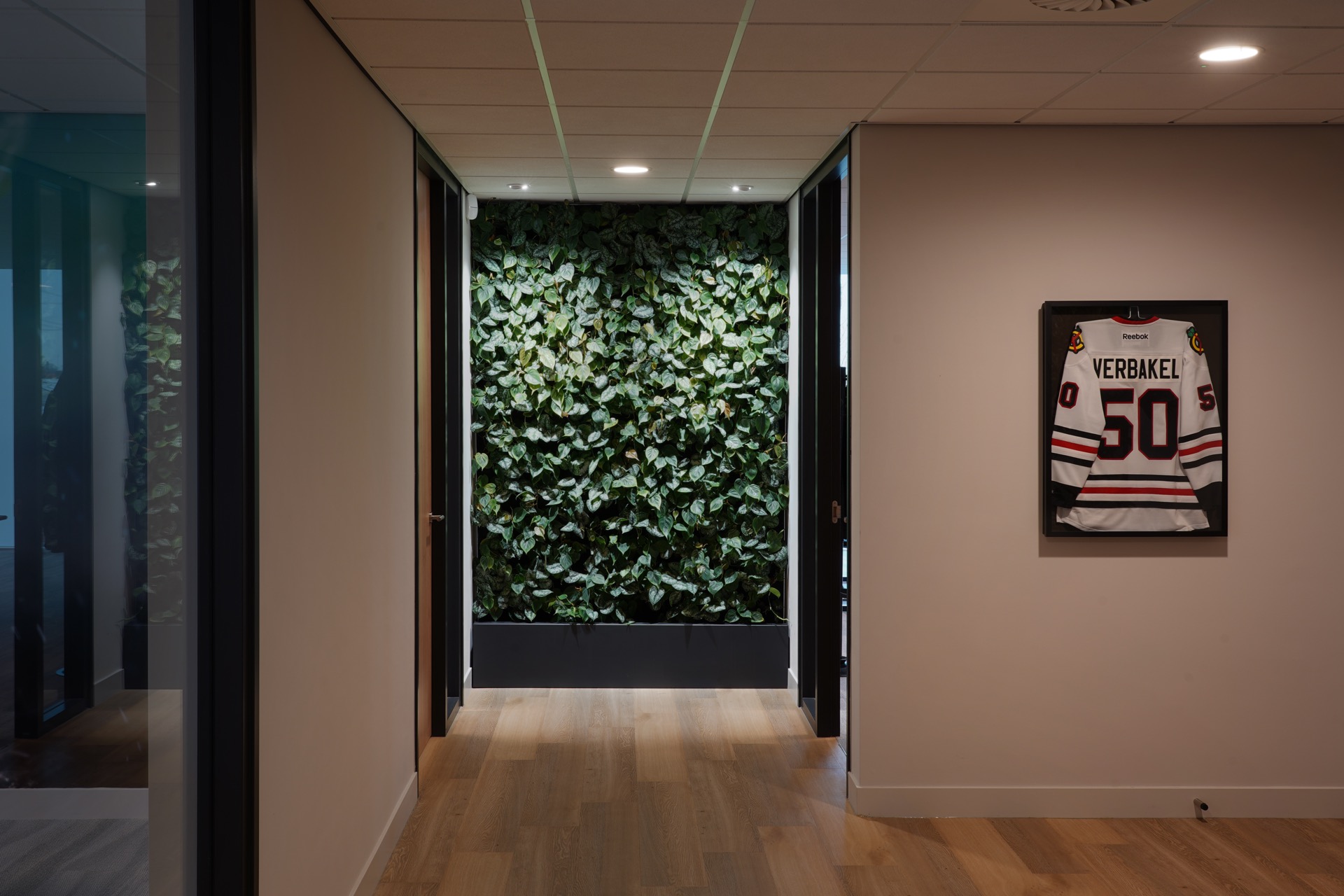 hal met verlichting in plafond