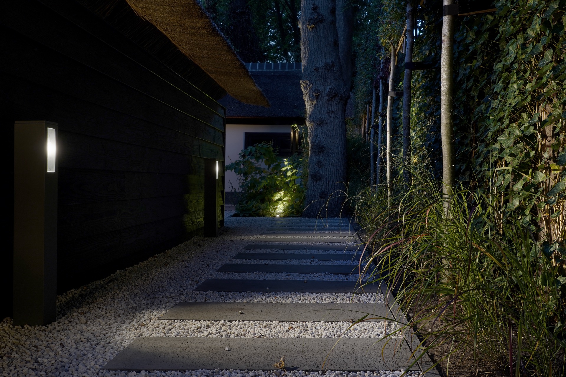 tuin met exclusief lichtplan