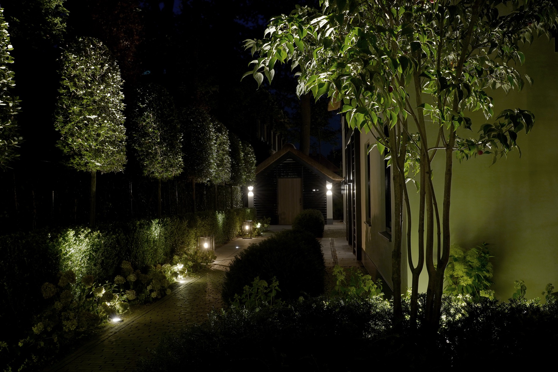 tuin met sfeervolle verlichting