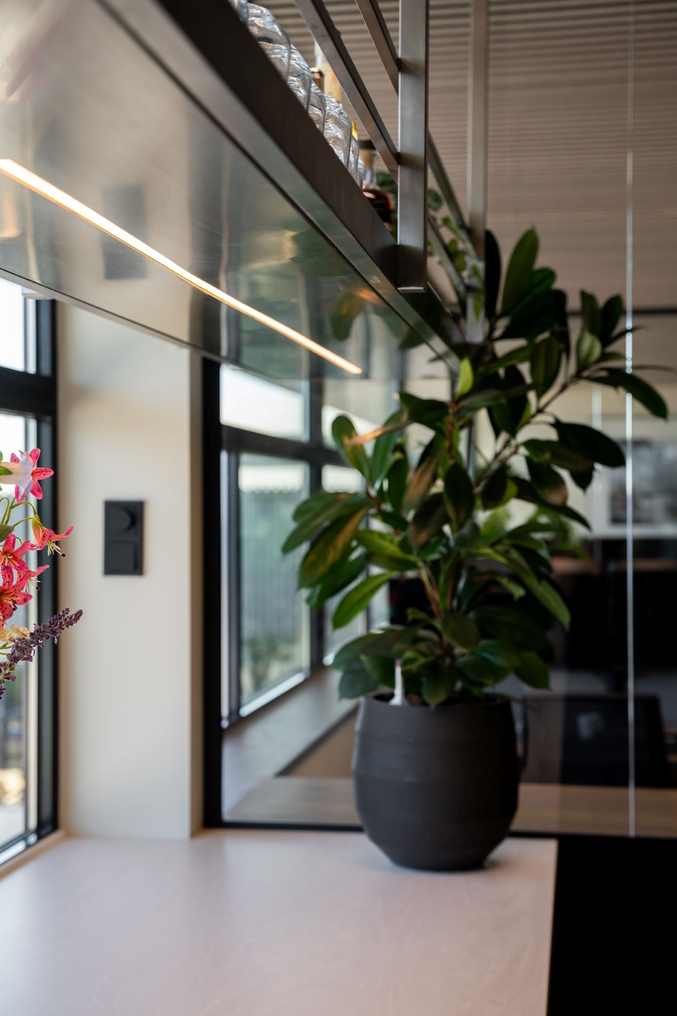 kamerplant