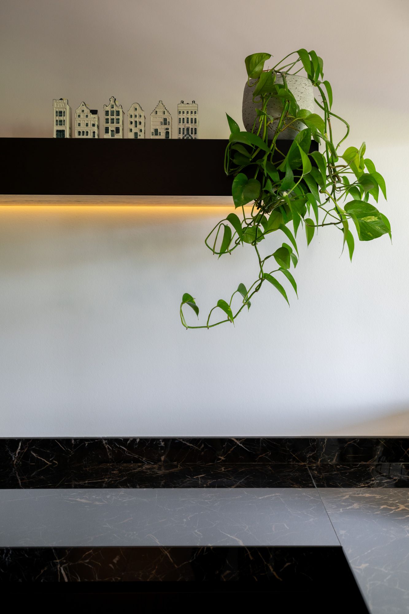 plant in keuken