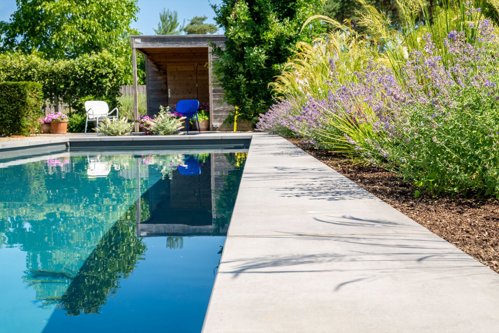 moderne tuin met luxe zwembad