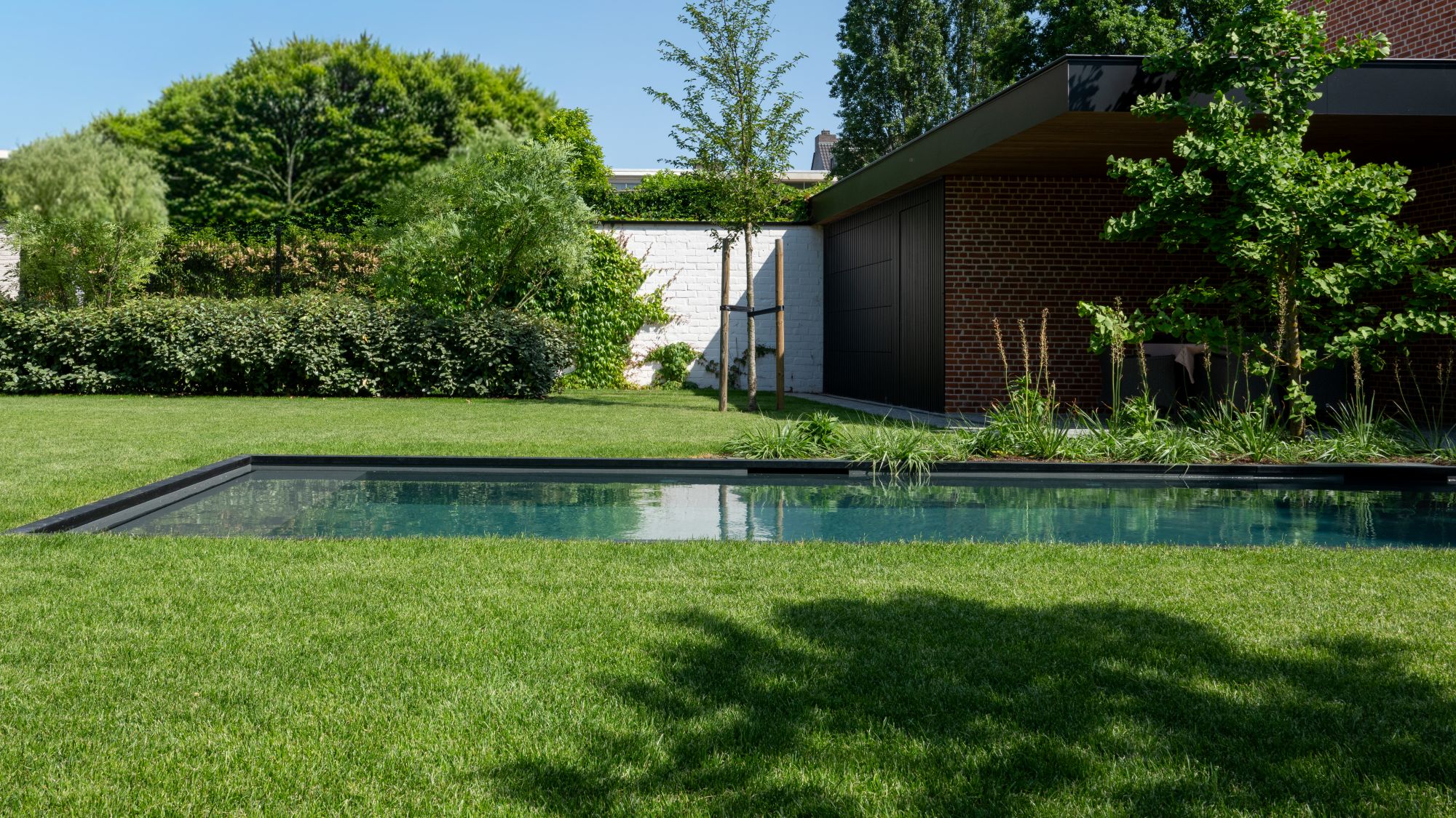 zwembad in tuin