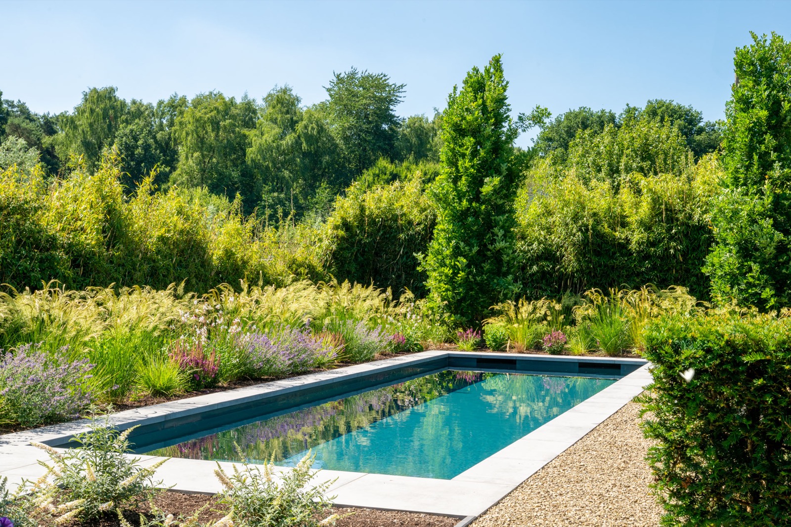tuin met beplanting en zwembad
