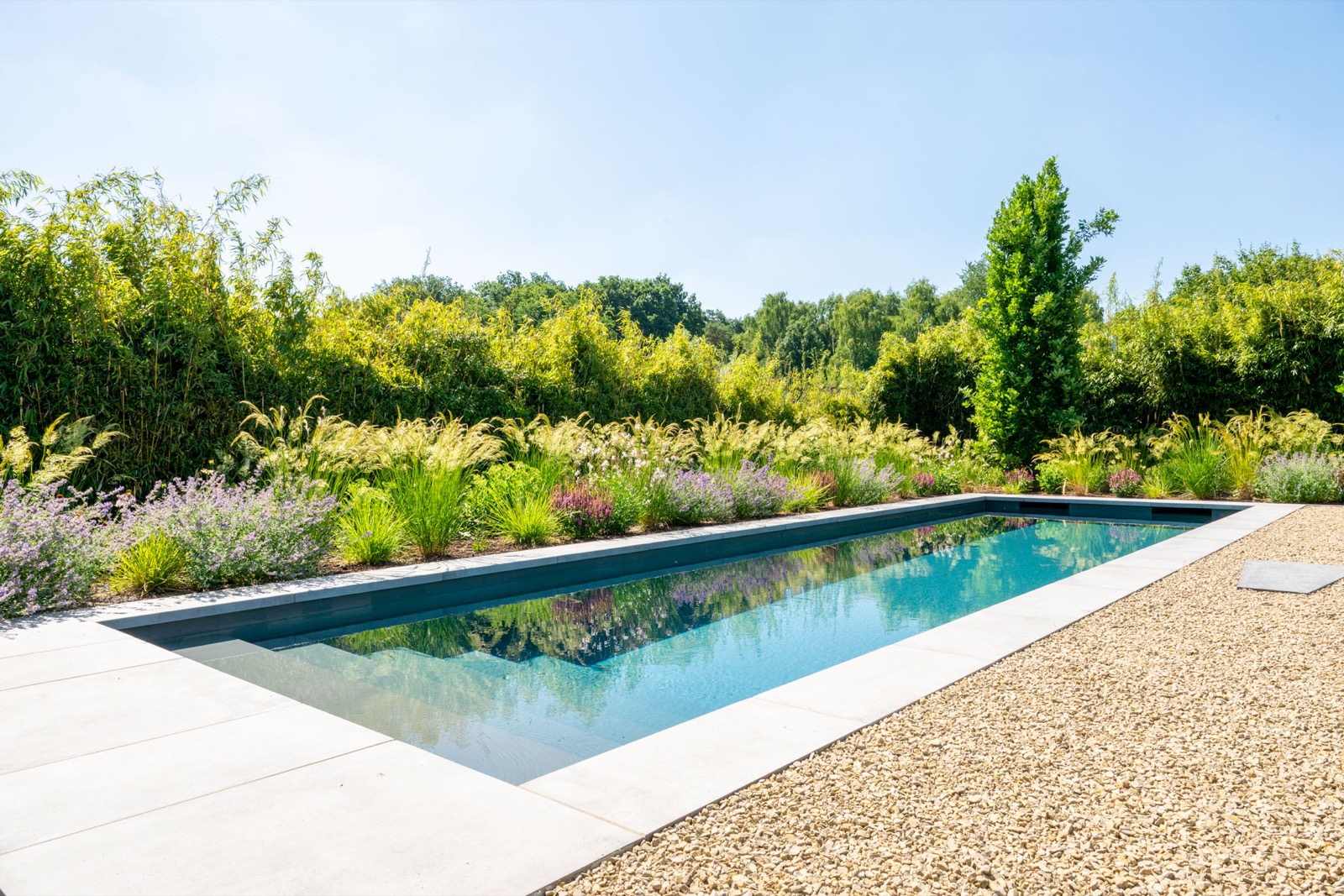 groene tuin met zwembad