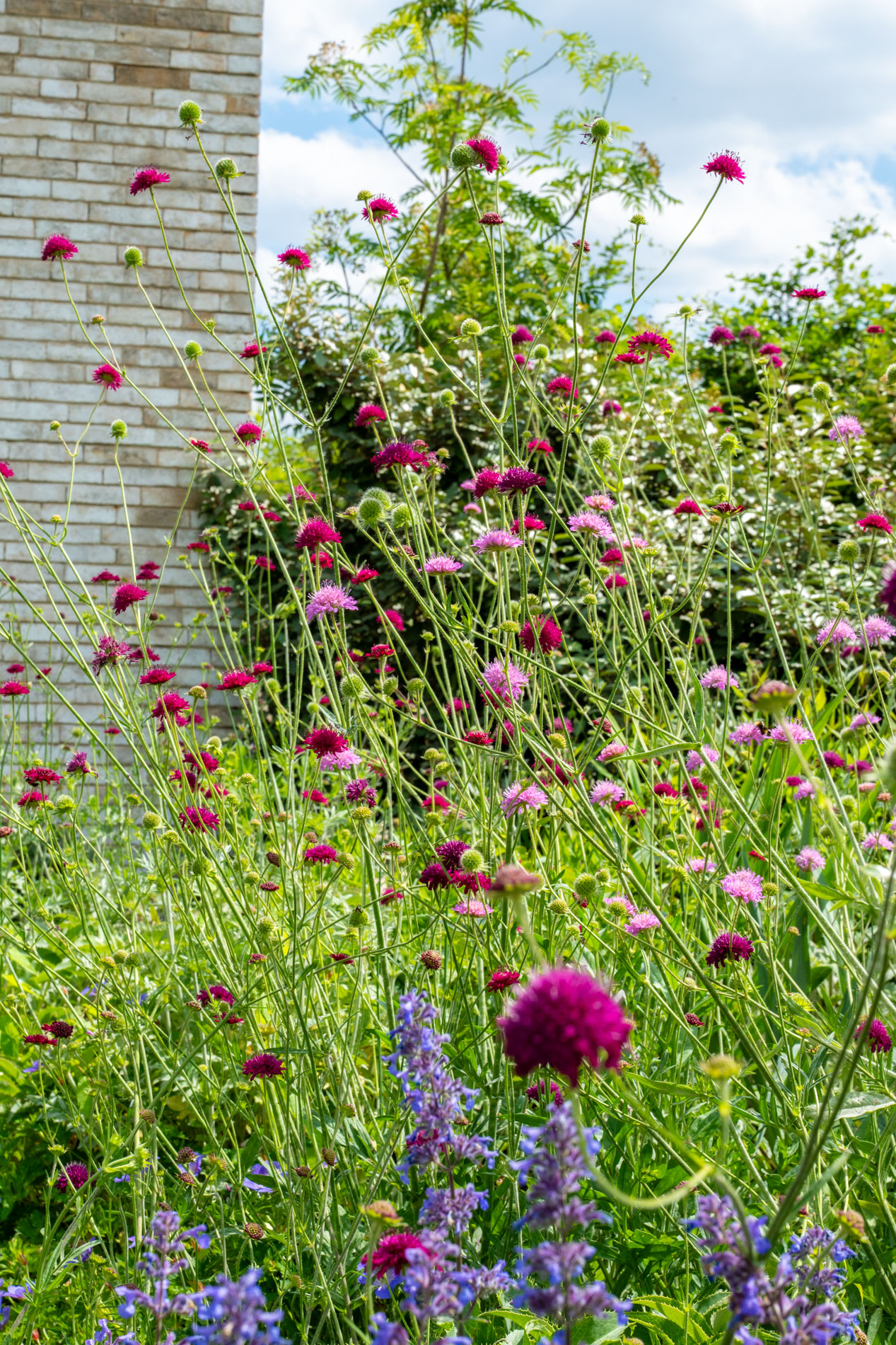 luxe beplanting bij villa