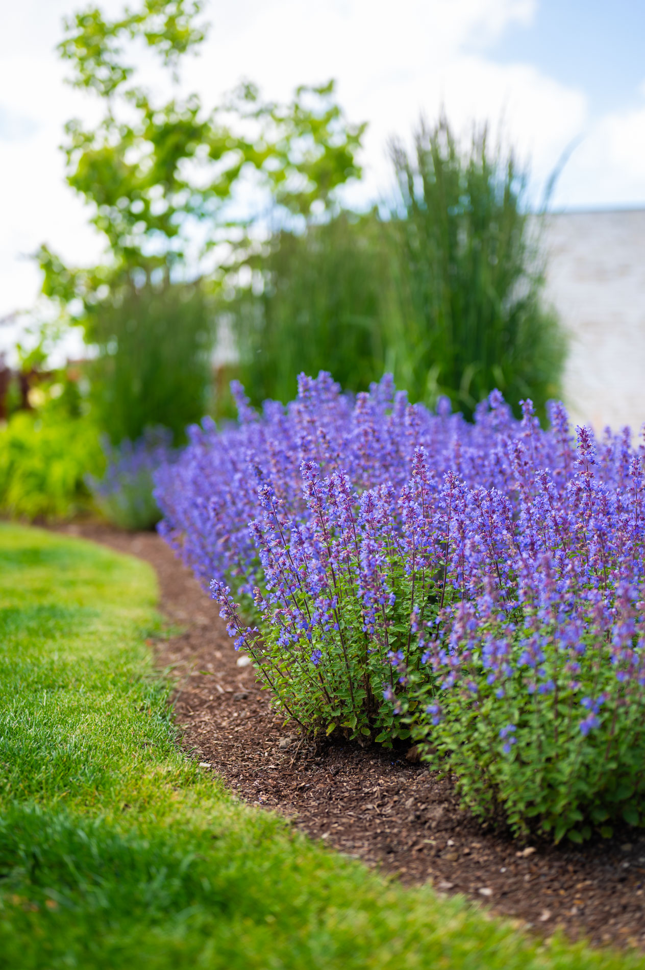 luxe beplanting in tuin