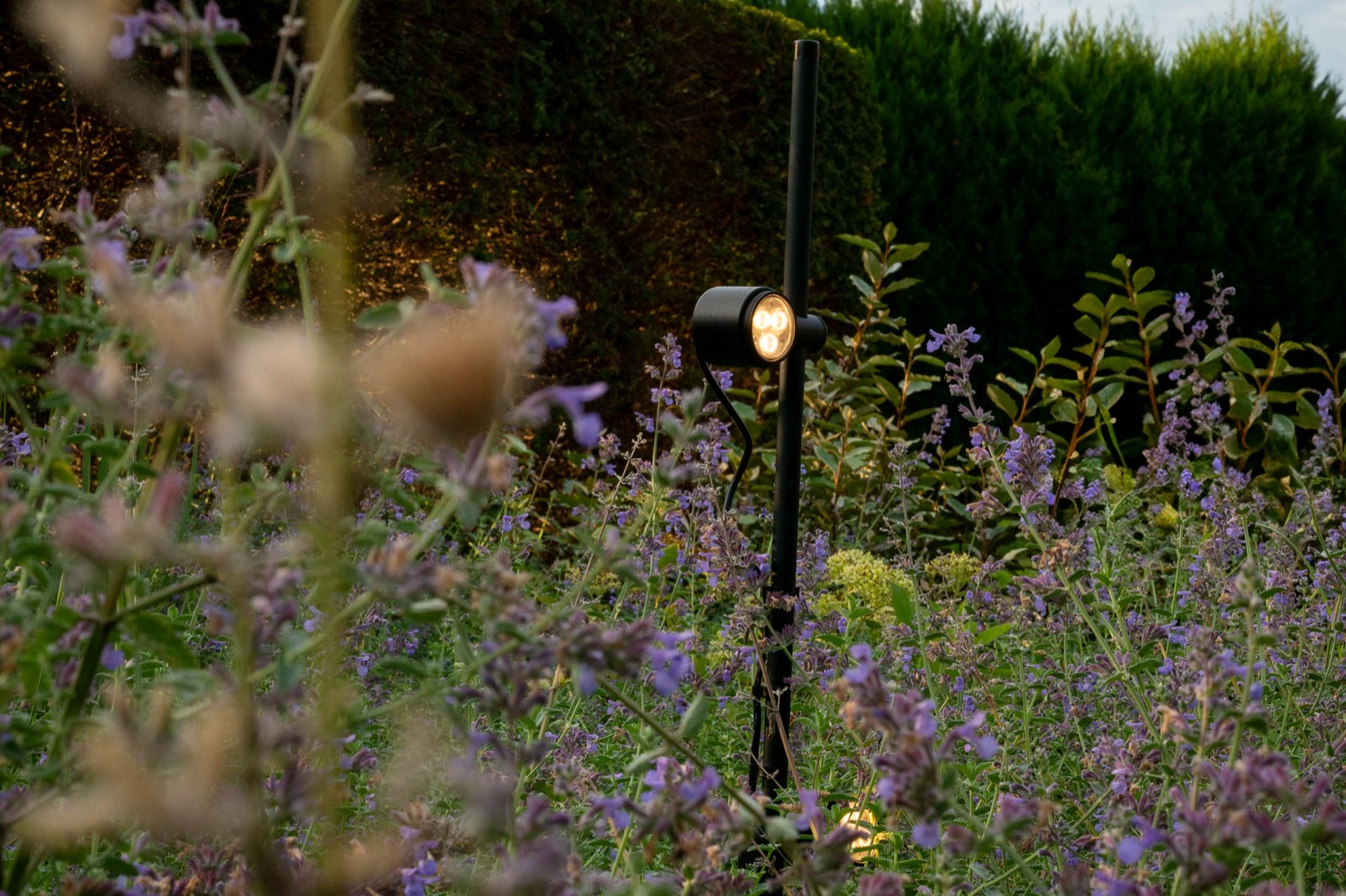 voortuin met verlichting