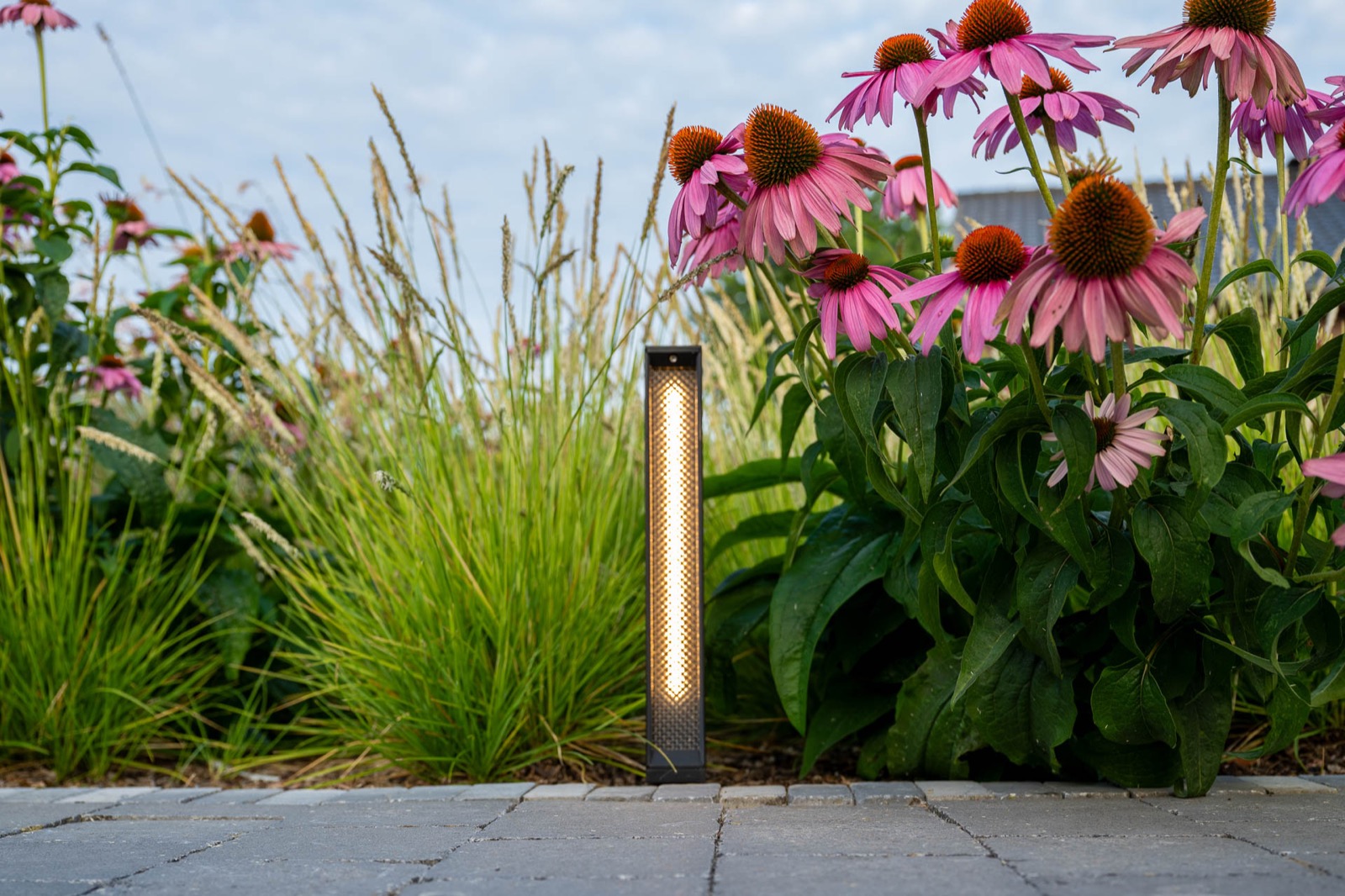 voortuin met planten en bloemen