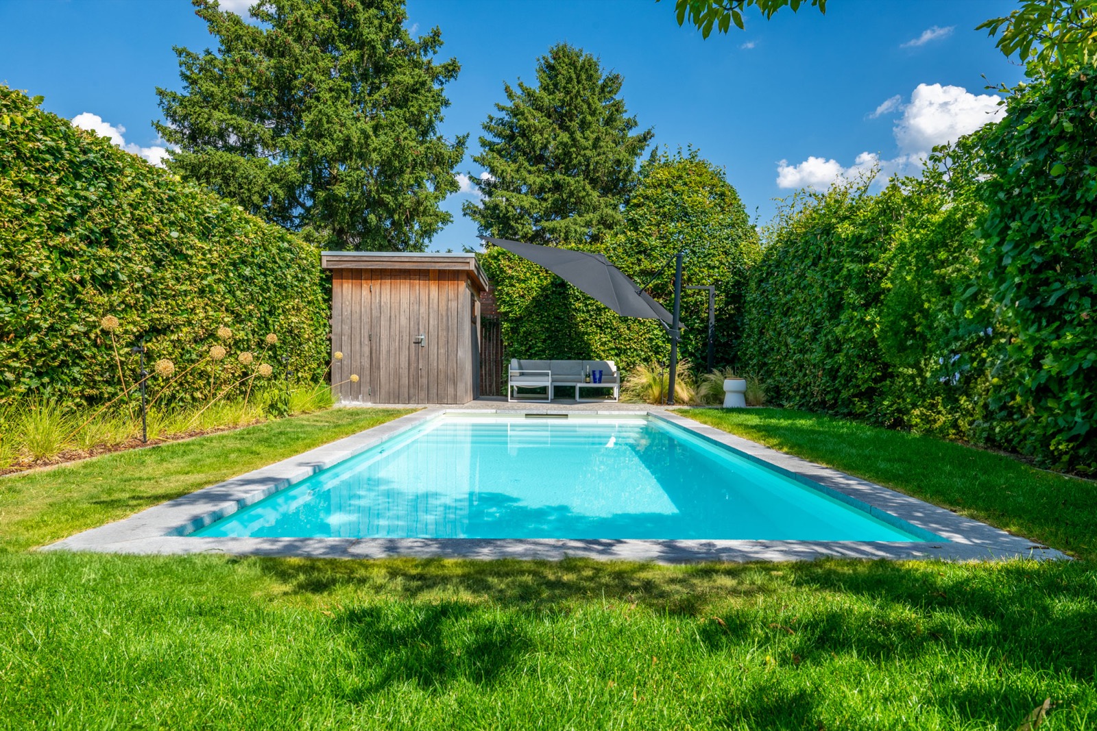 tuin met modern zwembad