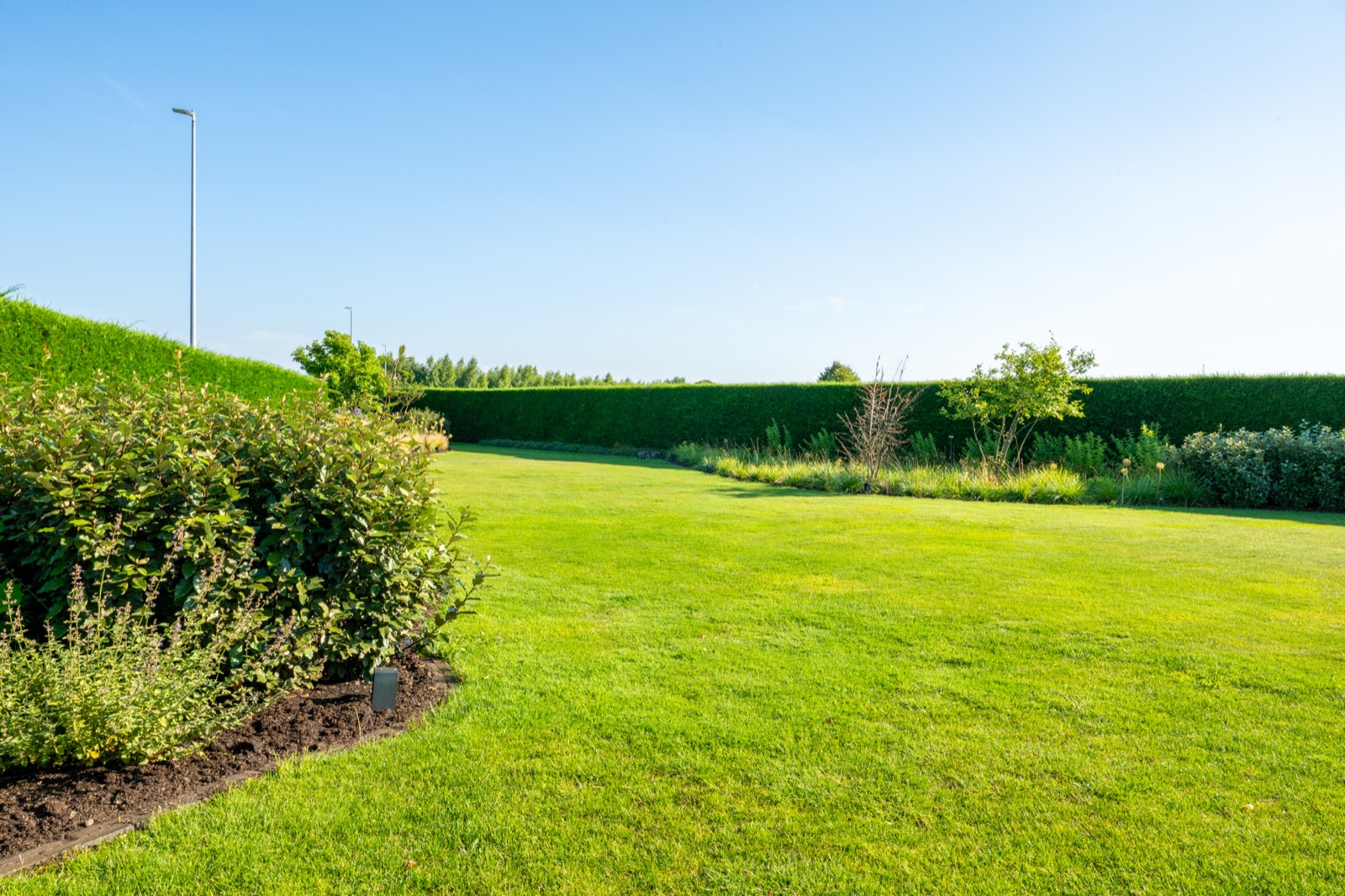 groene tuin