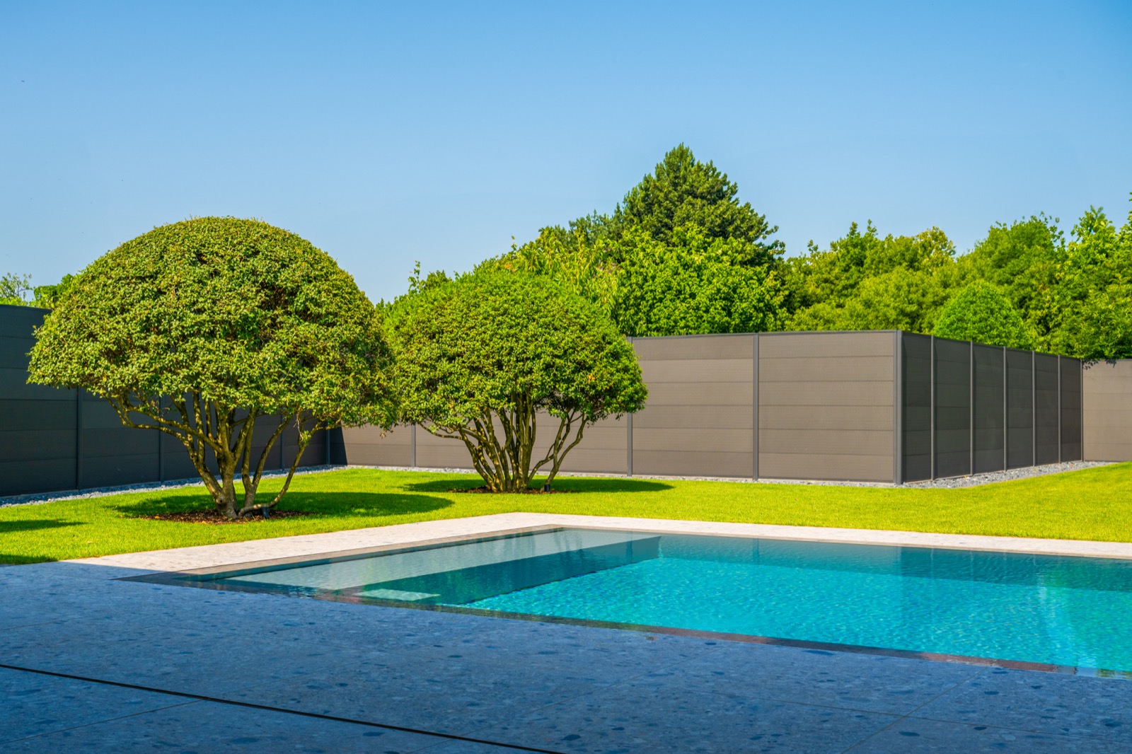 moderne tuin met zwembad