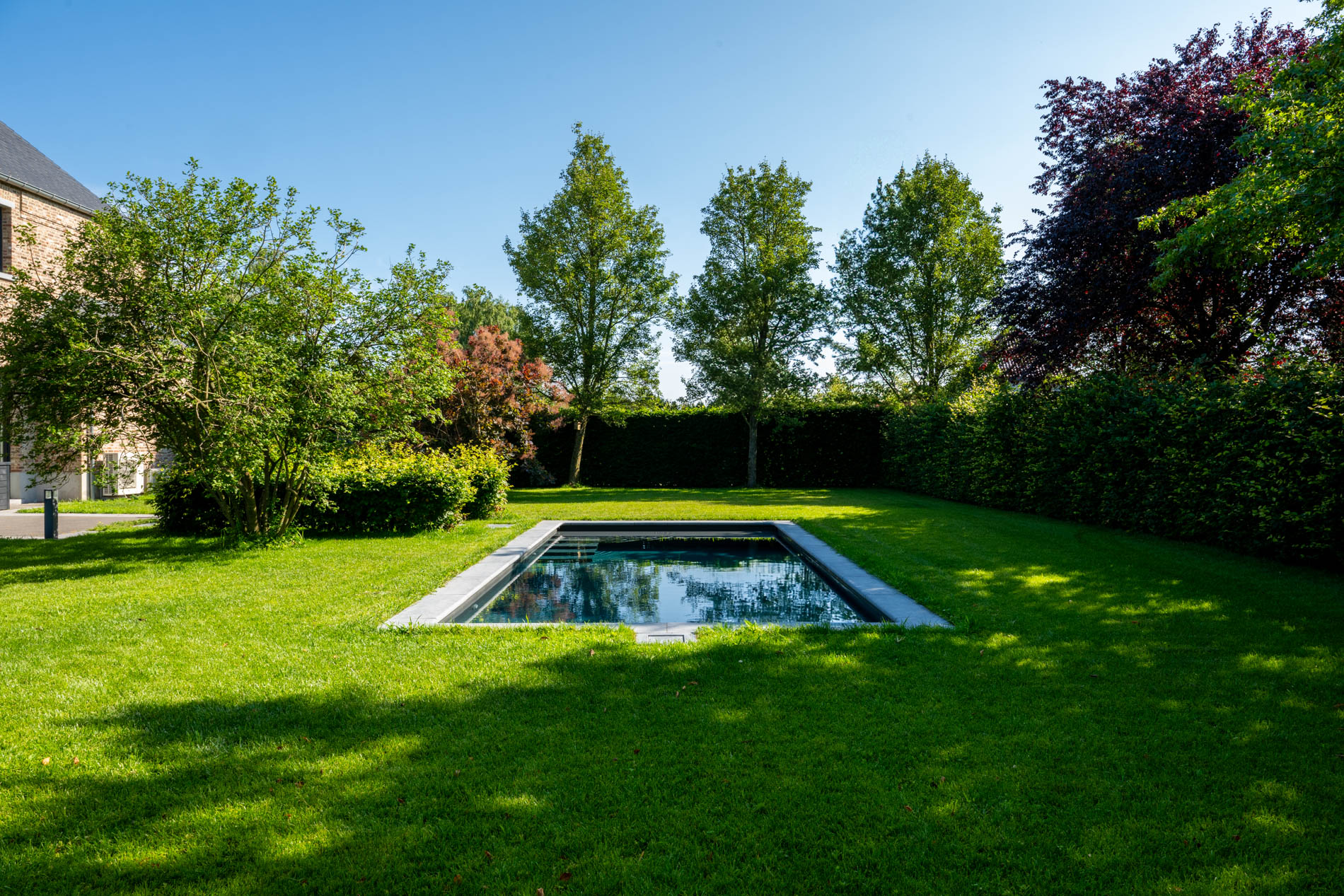 groene tuin met modern zwembad