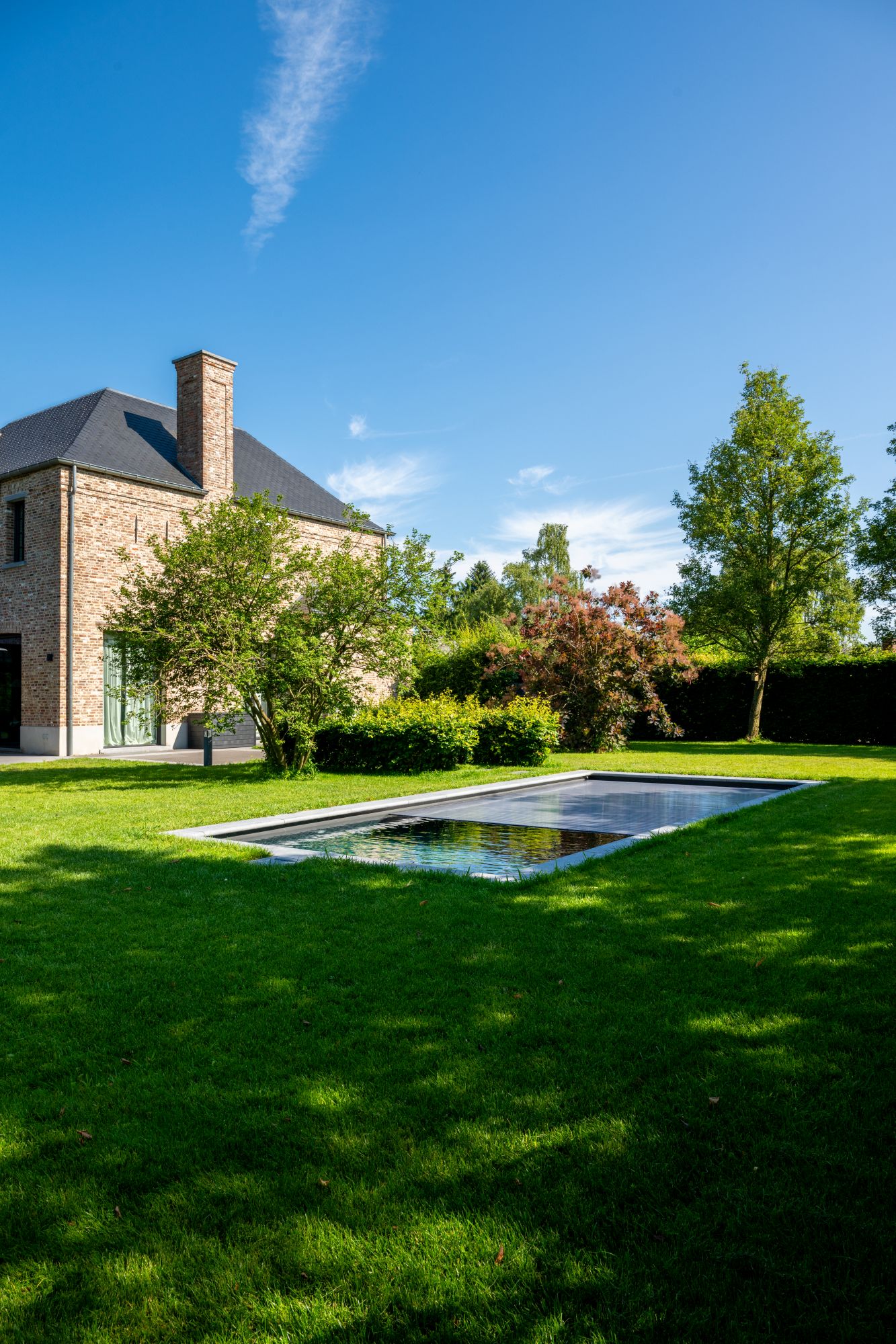 moderne tuin