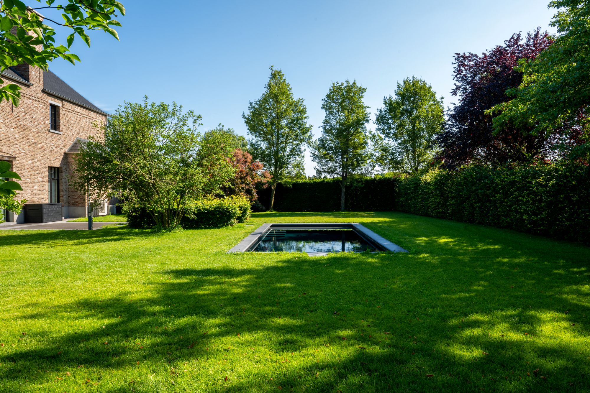 grote groene tuin