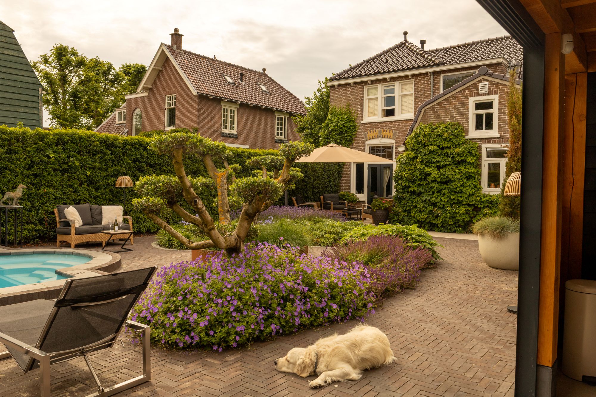 landelijke tuin