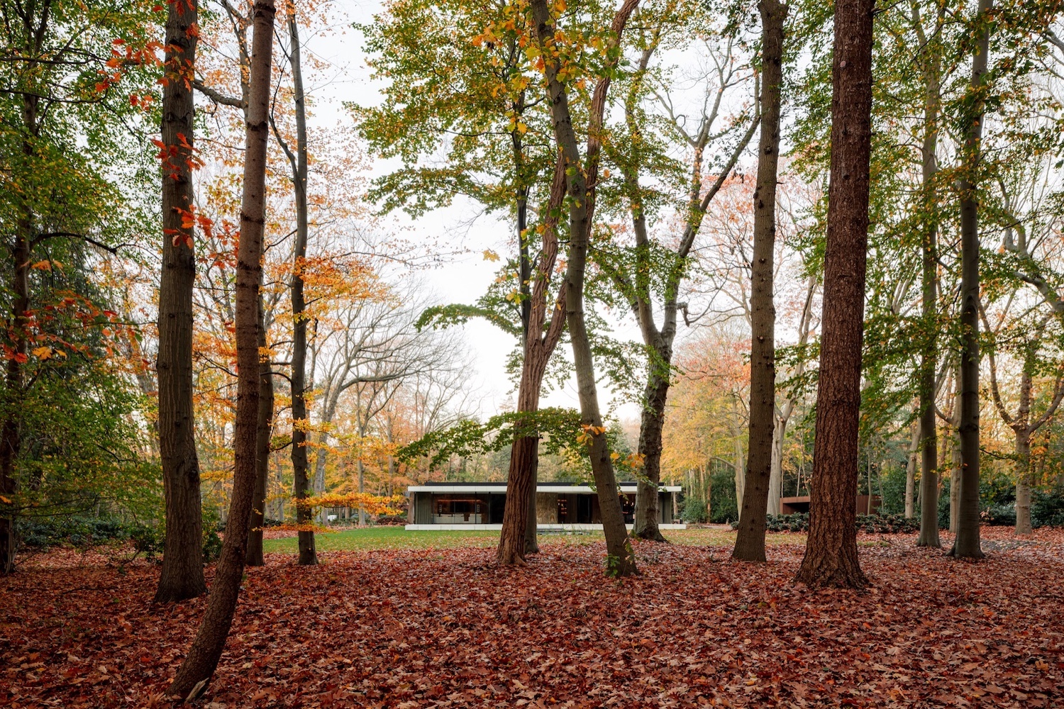 design villa in bosrijke omgeving