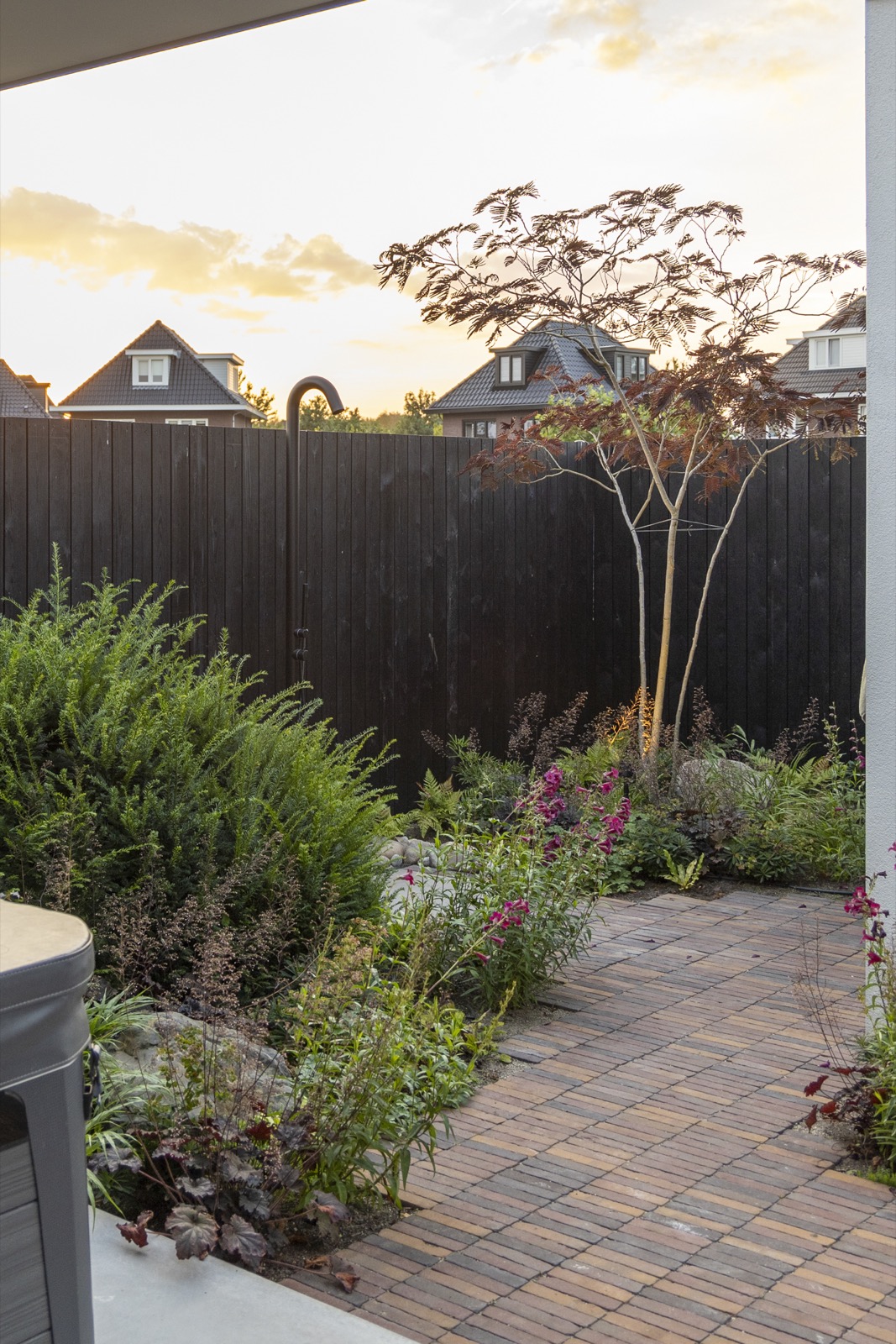 tuin met diverse bloemen en planten