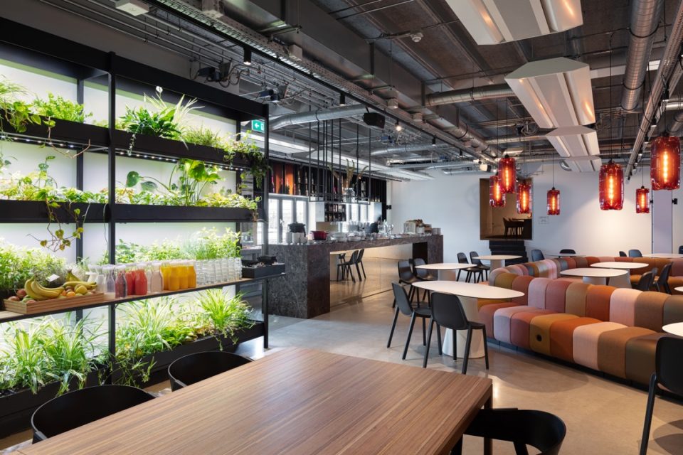 interieur kantoor met groenwand